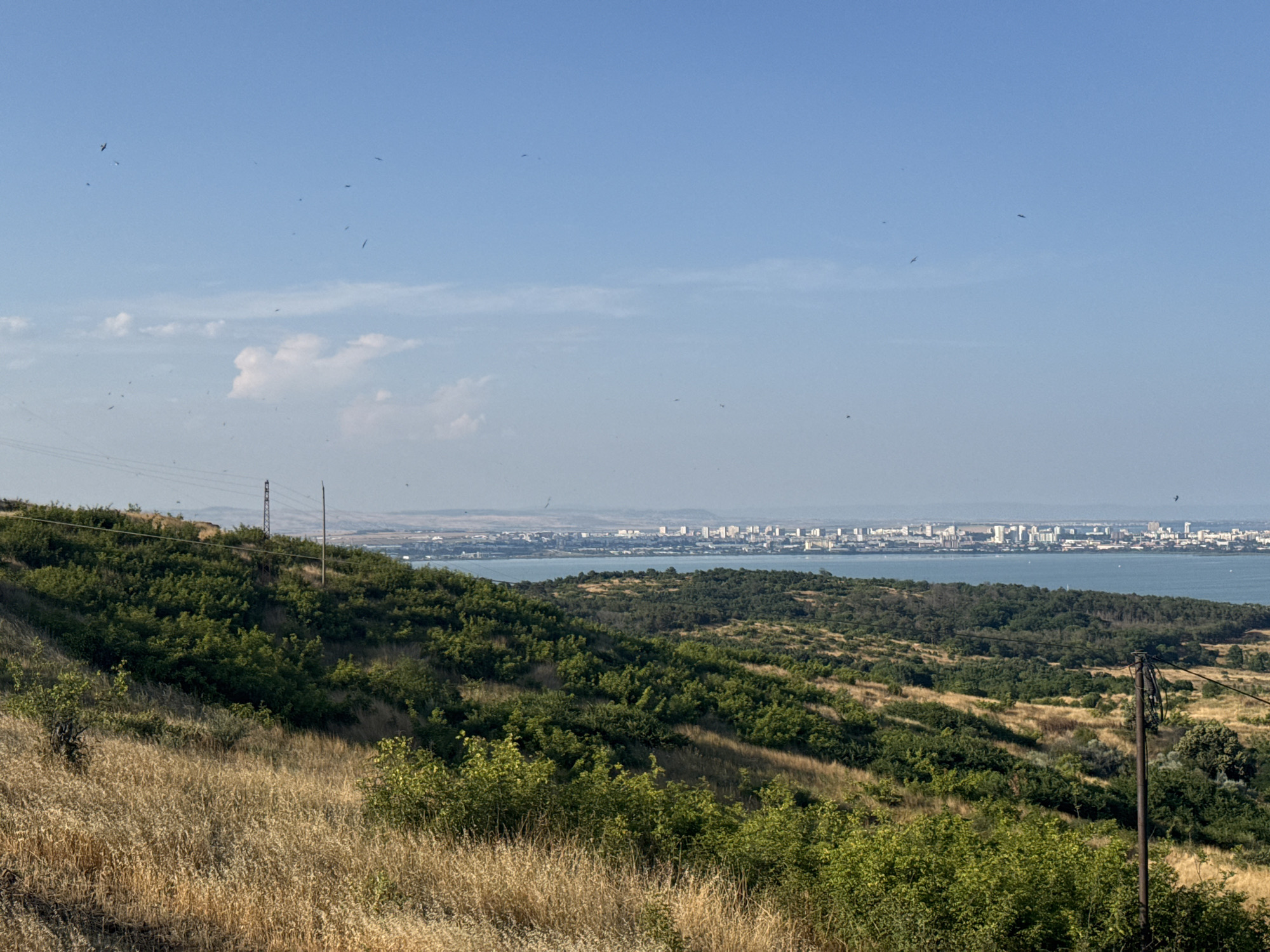 The image captures a panoramic view of the Bulgarian city of Burgas, situated on the western shore of the Black Sea. In the foreground, a dry, grassy hillside slopes downwards, dotted with patches of green shrubs. Further down, a dense forest of green trees covers the undulating terrain. In the mid-ground, the shimmering blue waters of Burgas Bay stretch across the horizon, separating the natural landscape from the urban expanse. The city itself forms a distinct skyline in the distance, characterized by numerous white buildings of varying heights. The sky is a clear, light blue, with a few wispy clouds present. There are multiple birds flying in the sky. A power line with poles is visible on the left side of the image, and a single utility pole with wires stands on the right side. The scene appears to be set during daylight hours, likely in the summer or early autumn given the dry vegetation.