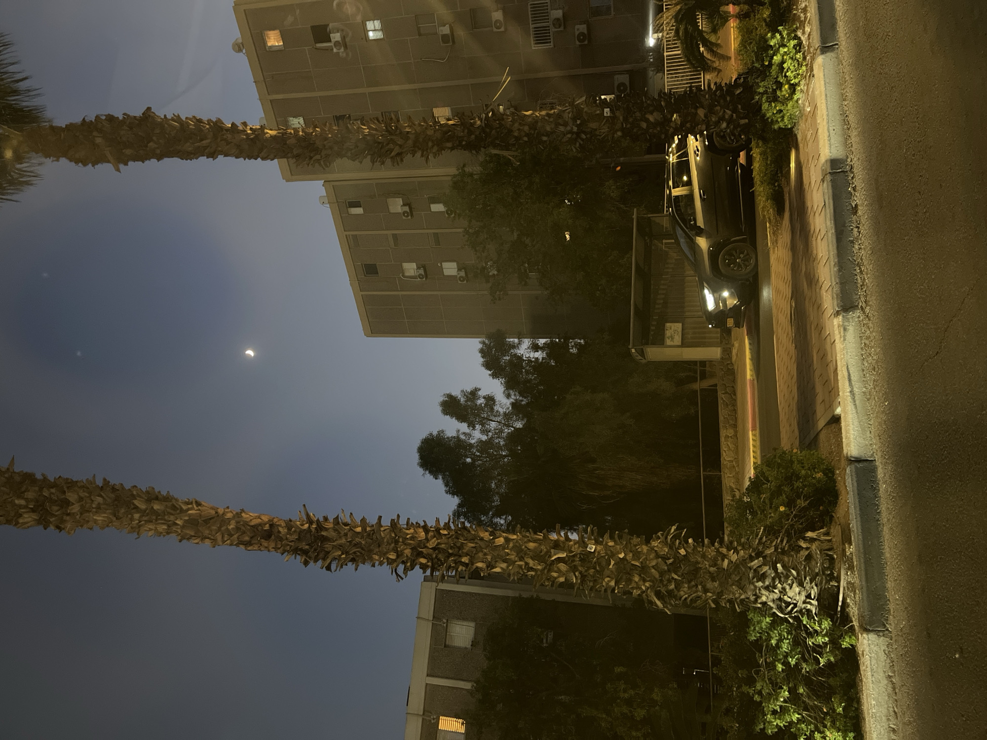 An outdoor, nighttime, medium-shot photograph depicts an urban scene. In the foreground, two large palm trees flank the composition, their rough, brown trunks and dried fronds prominently featured against a twilight sky. Beyond the trees, a dark-colored SUV is parked on the side of the road, its headlights illuminated. The SUV is positioned in front of a bus stop structure with a slanted roof. To the right of the SUV, more palm trees and lush green bushes are visible. In the background, two multi-story apartment buildings rise into the dim light. The buildings are constructed with light-colored concrete facades and feature numerous windows and air conditioning units. The sky above is a deep blue, transitioning to a lighter hue near the horizon, with a sliver of a crescent moon visible. The scene is illuminated by artificial lights from the buildings and streetlights, casting a muted glow on the surroundings.