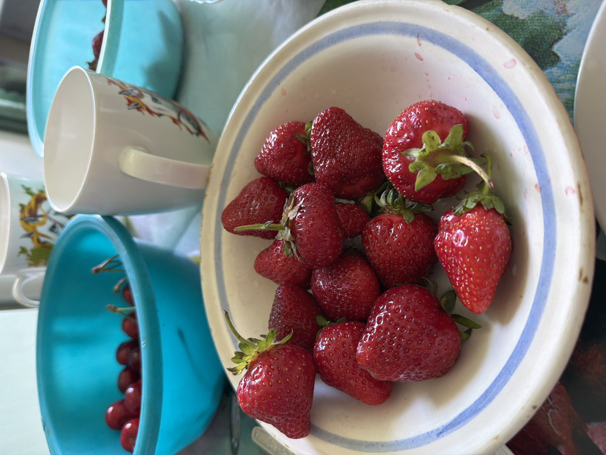 A close-up, top-down shot shows a white bowl filled with ripe strawberries. The bowl has a blue and white striped rim. In the background, there are two blue bowls, one filled with cherries, and two white mugs with horse decals. The scene is set on a table with a patterned tablecloth. The image appears to be taken indoors, likely in a residential setting. No specific location in Dnipro, Ukraine can be determined from the image.