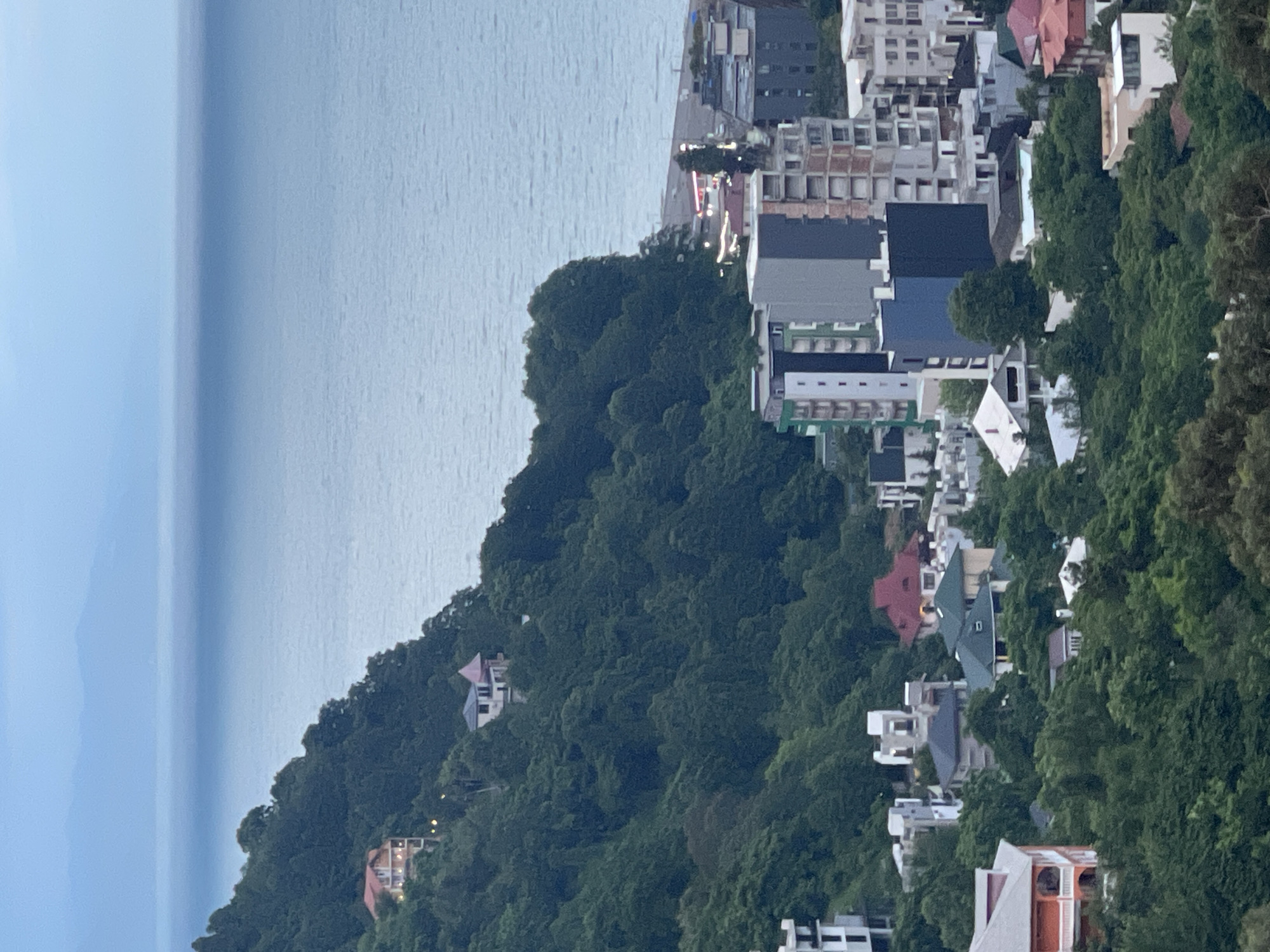 The image displays a coastal city with a hilly, heavily forested terrain meeting the sea. In the foreground, a dense canopy of green trees dominates, interspersed with various buildings. These structures range from multi-story residential or hotel buildings with balconies and modern architectural features, to smaller, more traditional houses with pitched roofs. The buildings are varied in color and design, with some appearing to be under construction.
Further up the slope, a winding road or path is visible, lined with lights. More houses are nestled into the hillside, some appearing as villas with red-tiled roofs and balconies. Higher still, the dense green forest covers the majority of the steep incline.
At the top of the forested hill, the calm, pale blue sea stretches towards the horizon. The sky above is a muted, hazy blue, suggesting either dawn, dusk, or overcast conditions. In the far distance, the faint outlines of mountains are visible against the sky.
The overall impression is one of a densely populated, yet verdant, urban environment situated on a dramatic coastline, likely in a region with a warm, humid climate conducive to lush vegetation. The scene captures a segment of Batumi, Georgia, a city known for its coastal beauty and mountainous backdrop.