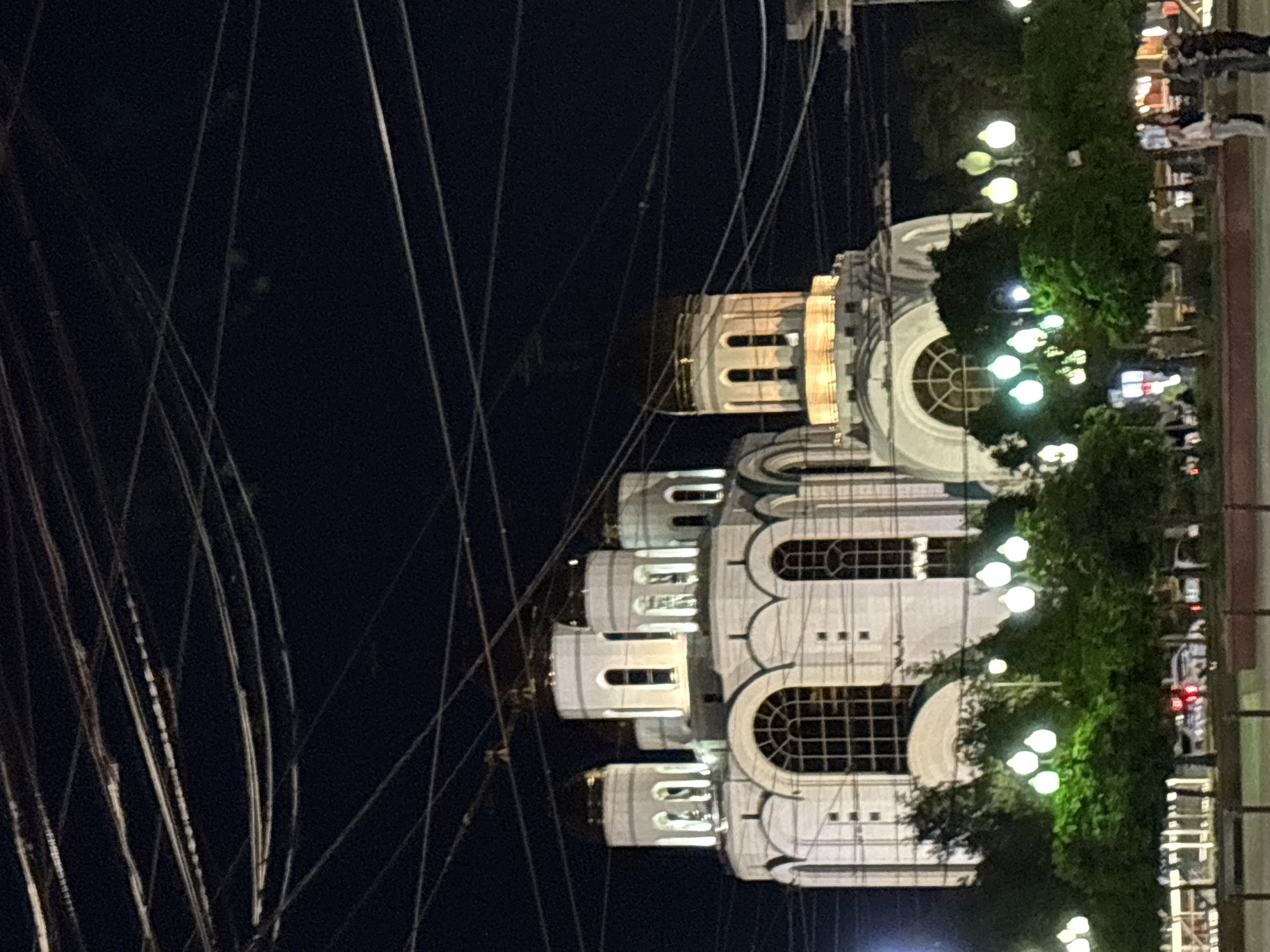 The image captures an urban night scene, originally oriented sideways, dominated by a large, illuminated building. The prominent structure is a white or light-colored cathedral or church, featuring multiple domes, some with windows, and a facade adorned with numerous arched windows and decorative architectural elements. It is brightly lit, highlighting its intricate details against the dark night sky.
In the foreground, a dense network of overhead wires or cables crisscrosses the upper part of the frame, partially obscuring the sky and the top sections of the building. These wires reflect some of the ambient light.
To the right of the main building, there is a street or promenade lined with a row of green trees or bushes. Several streetlights, featuring distinct globe-shaped luminaires, are interspersed along this green space, emitting a soft, yellowish light. Beyond the trees and streetlights, the blurry outlines of other buildings with visible interior lights are discernable. Indistinct figures of people can be seen in the far background, suggesting pedestrian activity or patrons of establishments.
The time of day is clearly night, evidenced by the dark sky and the pervasive use of artificial lighting from the building, streetlights, and other urban sources. The architectural style of the main building, particularly its multiple domes and arched windows, is characteristic of Eastern Orthodox churches, aligning with the provided location context of Kaliningrad, Russia. No visible text is present in the image.