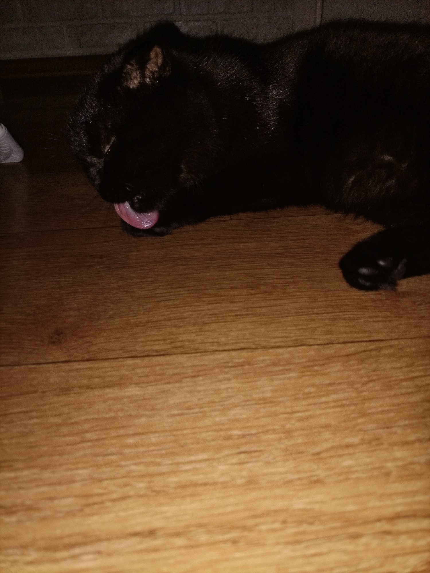 A black cat is lying on a wooden floor, licking its tongue. The cat's head is lowered and its eyes are closed. Its body is mostly hidden in shadow, but its paw is visible at the bottom right of the frame. The floor is made of light-colored wood planks. In the background, a brick wall is visible, as well as a portion of a white shoe. The scene is dimly lit.
