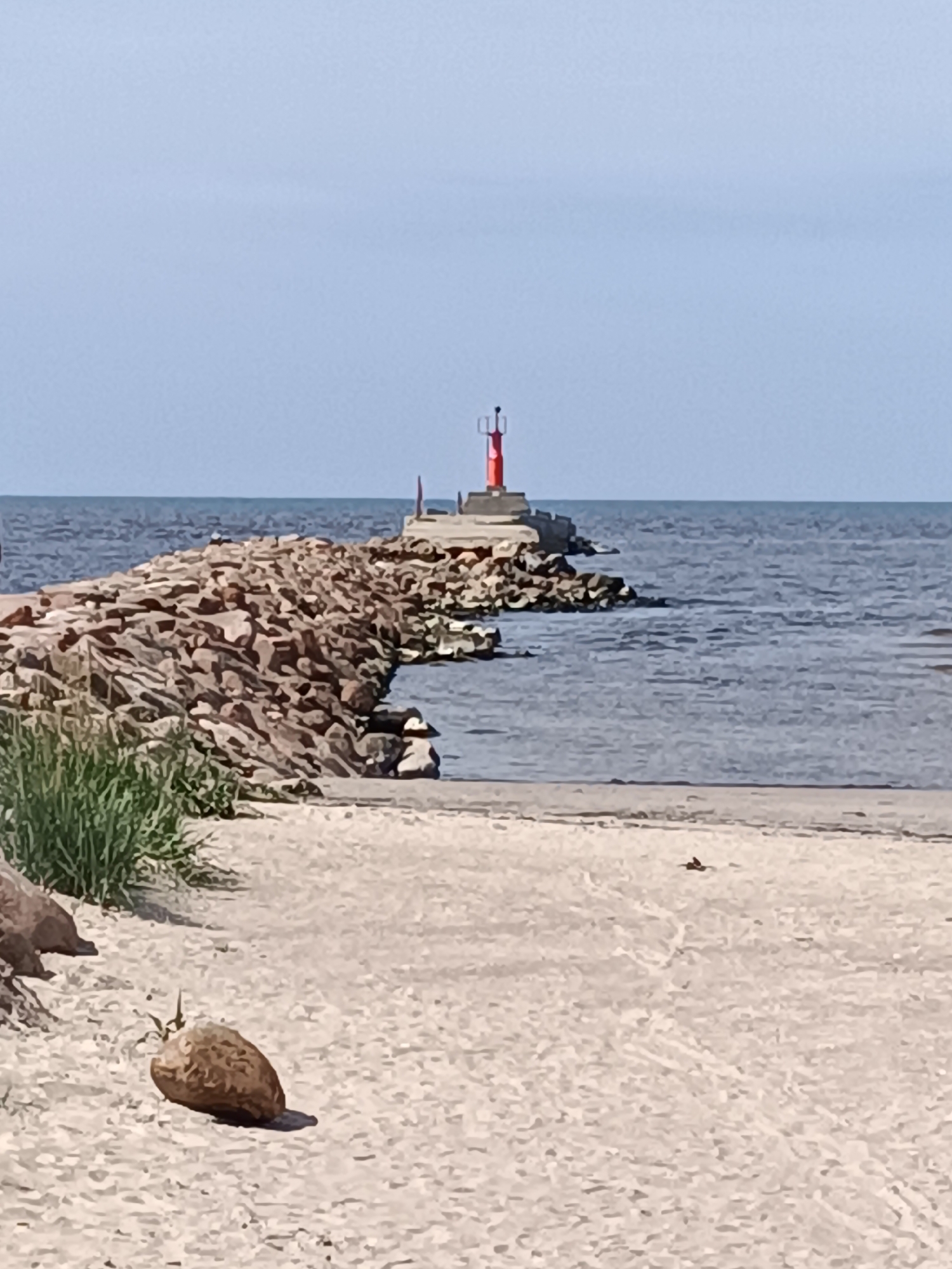 The image captures a view of a breakwater extending into the Baltic Sea from a sandy beach. A small, red-topped lighthouse stands at the end of the breakwater, which is constructed of rough stones. Lush green grass grows on the left side of the beach, near the base of the breakwater. A single, brown, elongated object, possibly a piece of driftwood or a large seed pod, rests on the sand in the foreground. The sea is a deep blue, and the sky above is a pale, clear blue. The scene appears to be an unobstructed view of the coast and the sea.