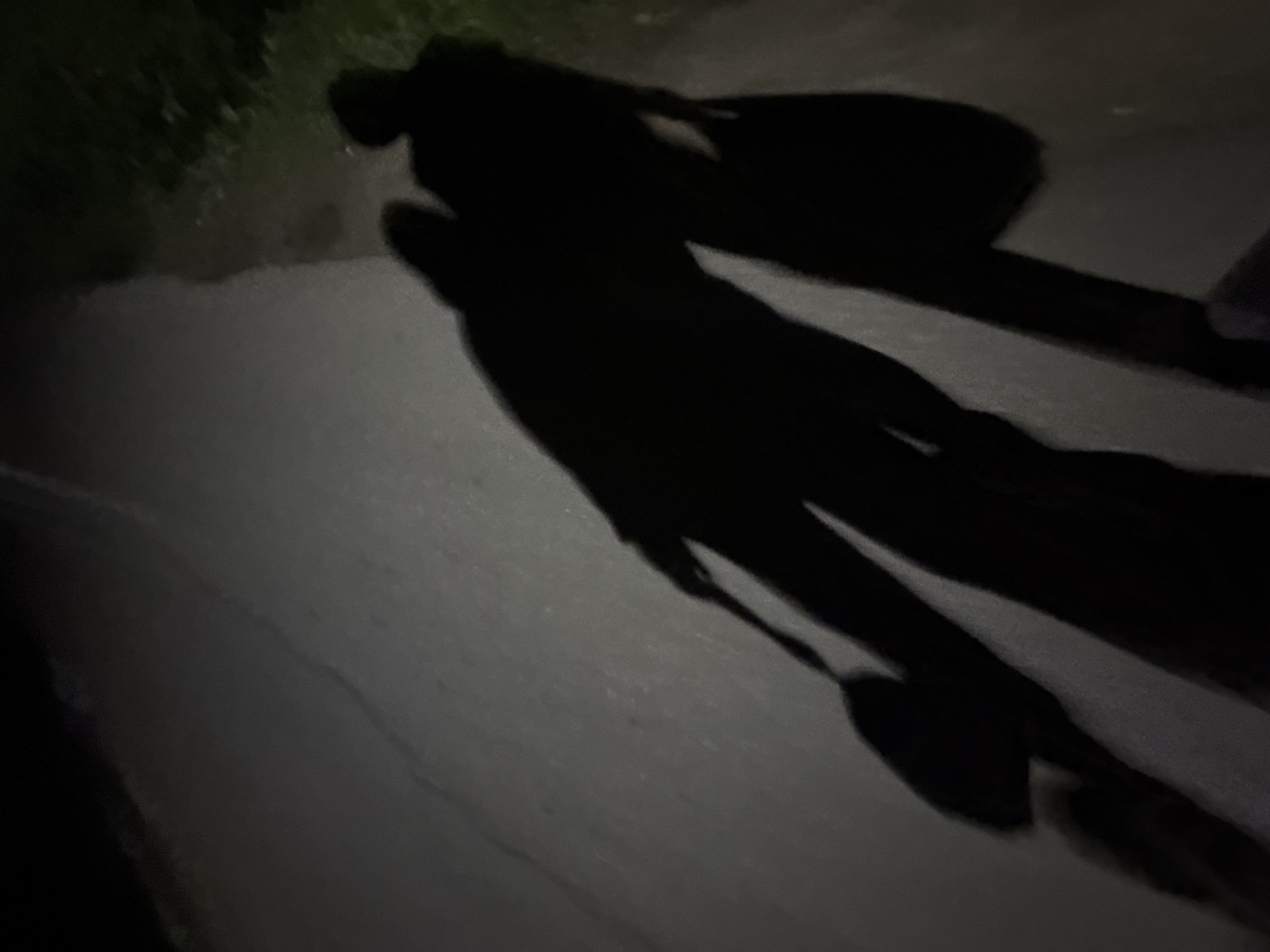 Two silhouetted figures are walking down a paved path at night, casting long shadows. The figure on the left appears to be carrying a bag. The figure on the right is slightly ahead. The path is bordered by grass and vegetation on the right side. The lighting suggests artificial illumination from the front, creating the shadows.