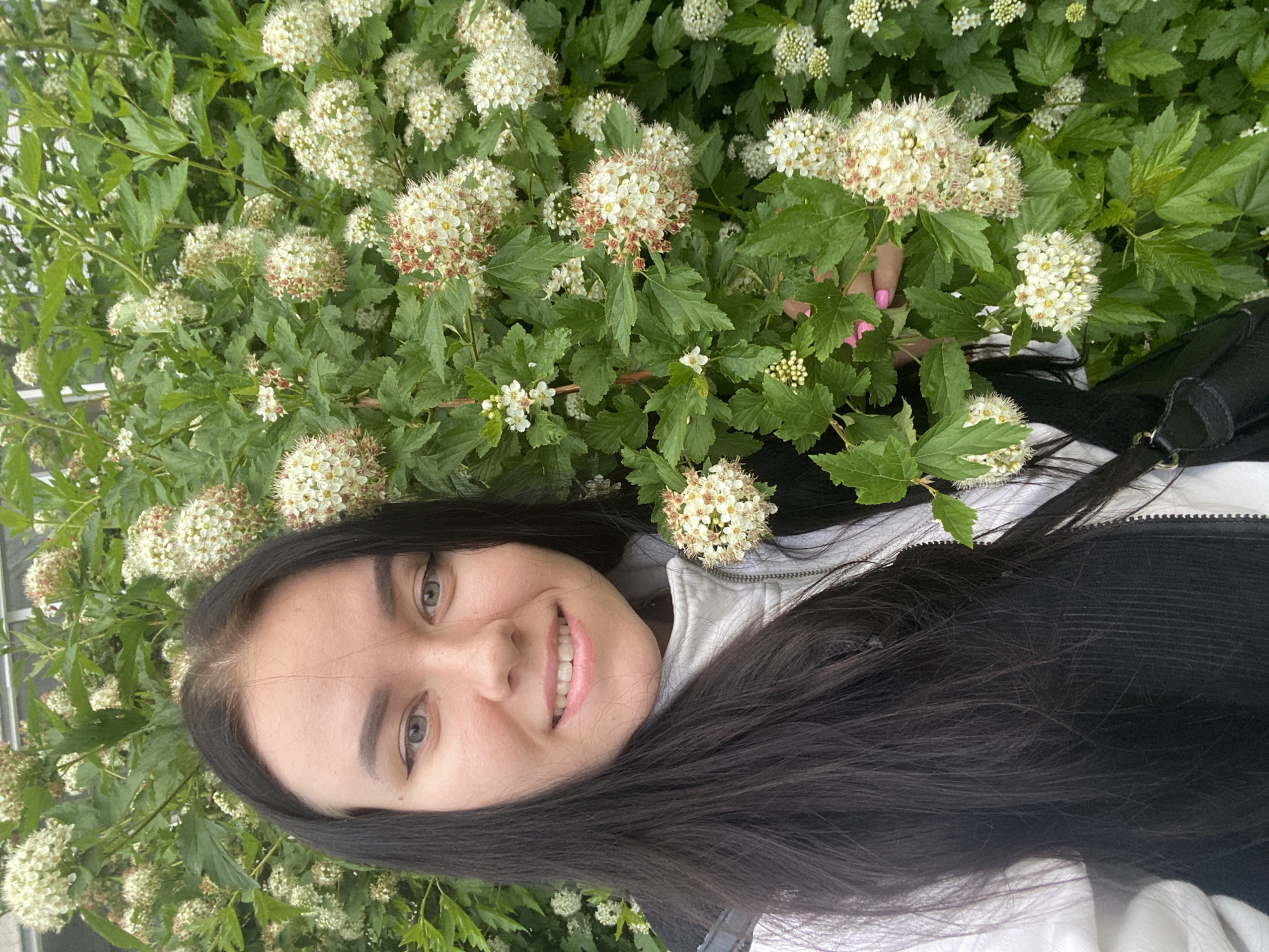 A young woman with long, dark hair and light-colored eyes is depicted in a chest-up, selfie-style photograph, positioned in front of and partially within a dense flowering shrub. She is wearing a light-colored, high-collar zippered jacket over a dark garment, with a black strap visible on her left shoulder. Her right hand, featuring pink nail polish, is gently touching a branch of the shrub. The shrub is heavily laden with numerous spherical clusters of small, white flowers, many displaying prominent reddish stamens or centers, amidst bright green, lobed leaves. The background consists solely of the dense foliage of this plant. The scene is located in the city of Chaikovsky, Russia.