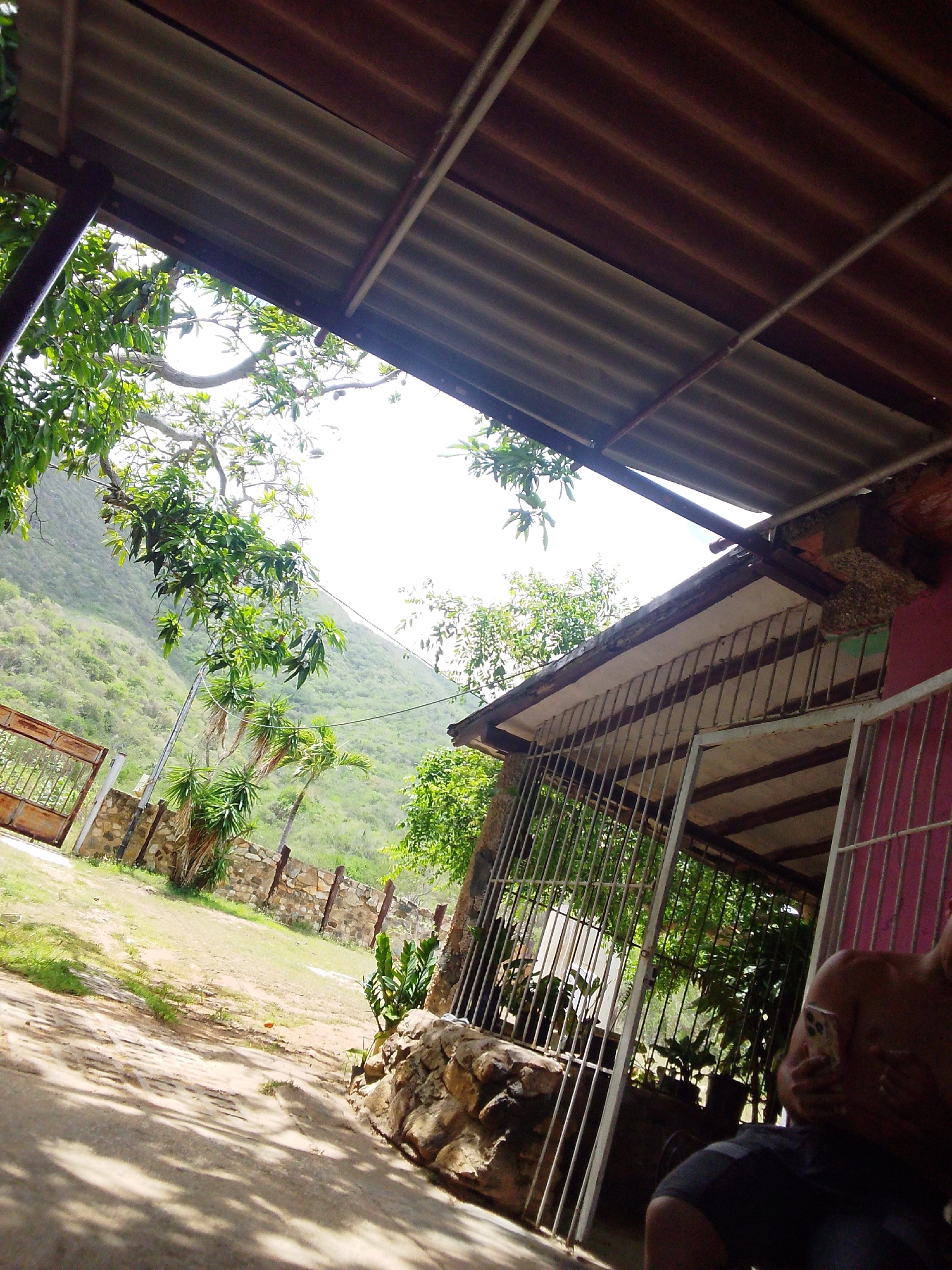 This media file captures a sun-drenched outdoor scene, likely in Guayacán, Venezuela. The foreground is dominated by a weathered concrete path dappled with the shadows of overhead foliage. To the right, a person, partially visible, is seated and looking at their phone. They are wearing dark shorts. Behind them, a rustic structure with a pink wall and a metal gate, partially open, suggests a residential or communal space.
The middle ground reveals a stone wall bordering a grassy area with several young palm trees and other plants. Beyond this, a prominent, weathered metal gate stands on the left side of the frame, hinting at an entrance. The background is a lush, green hillside, indicative of a tropical or subtropical environment, with a clear, bright sky overhead, suggesting it's a sunny day. The overall atmosphere is relaxed and casual, perhaps a moment of downtime in a rural or semi-rural setting. The time of day appears to be mid-morning or afternoon, given the strong sunlight and distinct shadows. No visible text is present in the image.