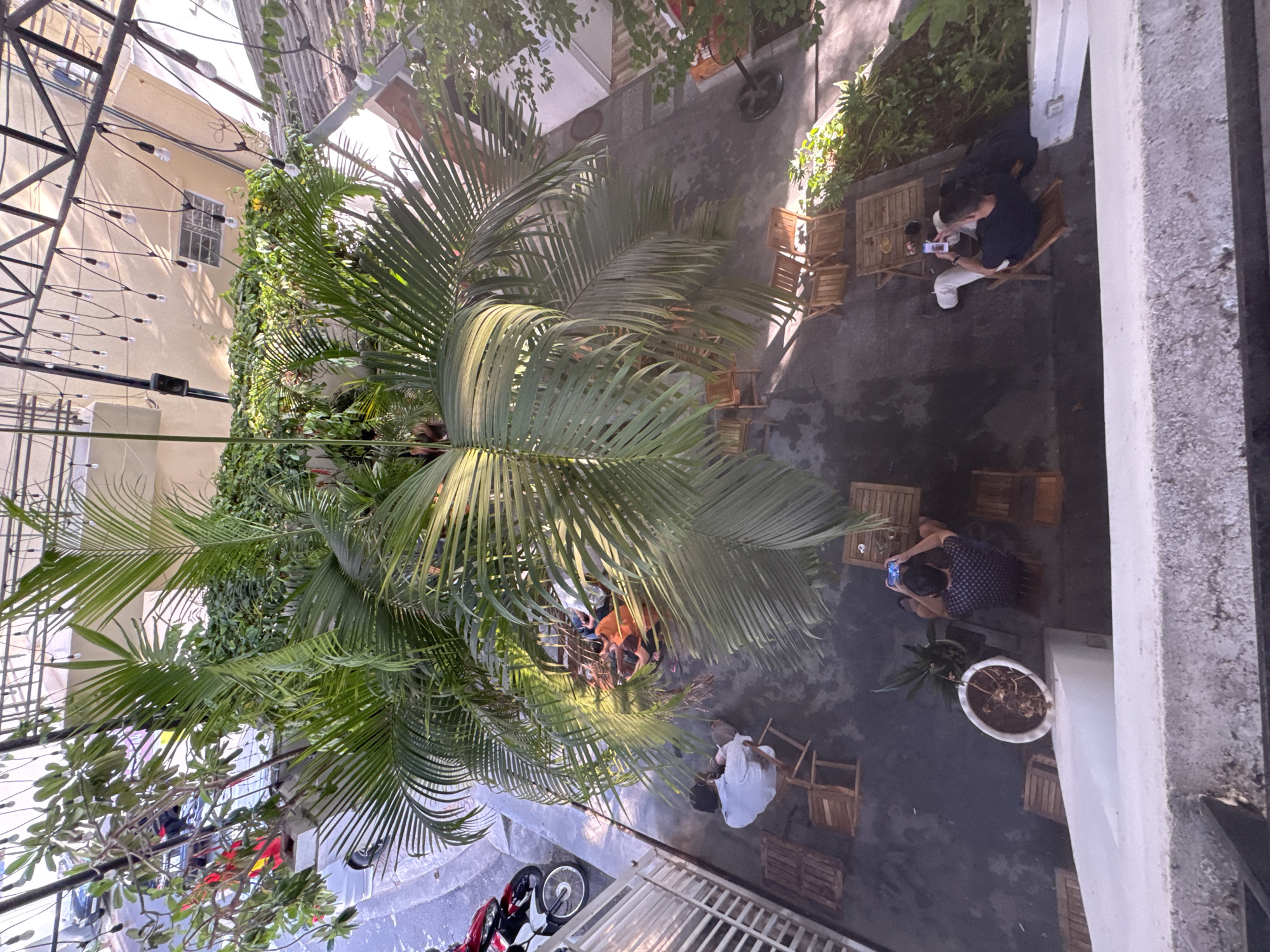 This is an overhead shot of an outdoor cafe in Bac Nha Trang Ward, Vietnam. The cafe has a canopy of string lights and is surrounded by lush greenery, including a large palm tree in the center. Several people are seated at small tables, some looking at their phones, others engaged in conversation. Wooden chairs and tables are scattered throughout the space. In the background, a street with parked motorcycles is visible. The overall impression is one of a relaxed, open-air dining or meeting spot.