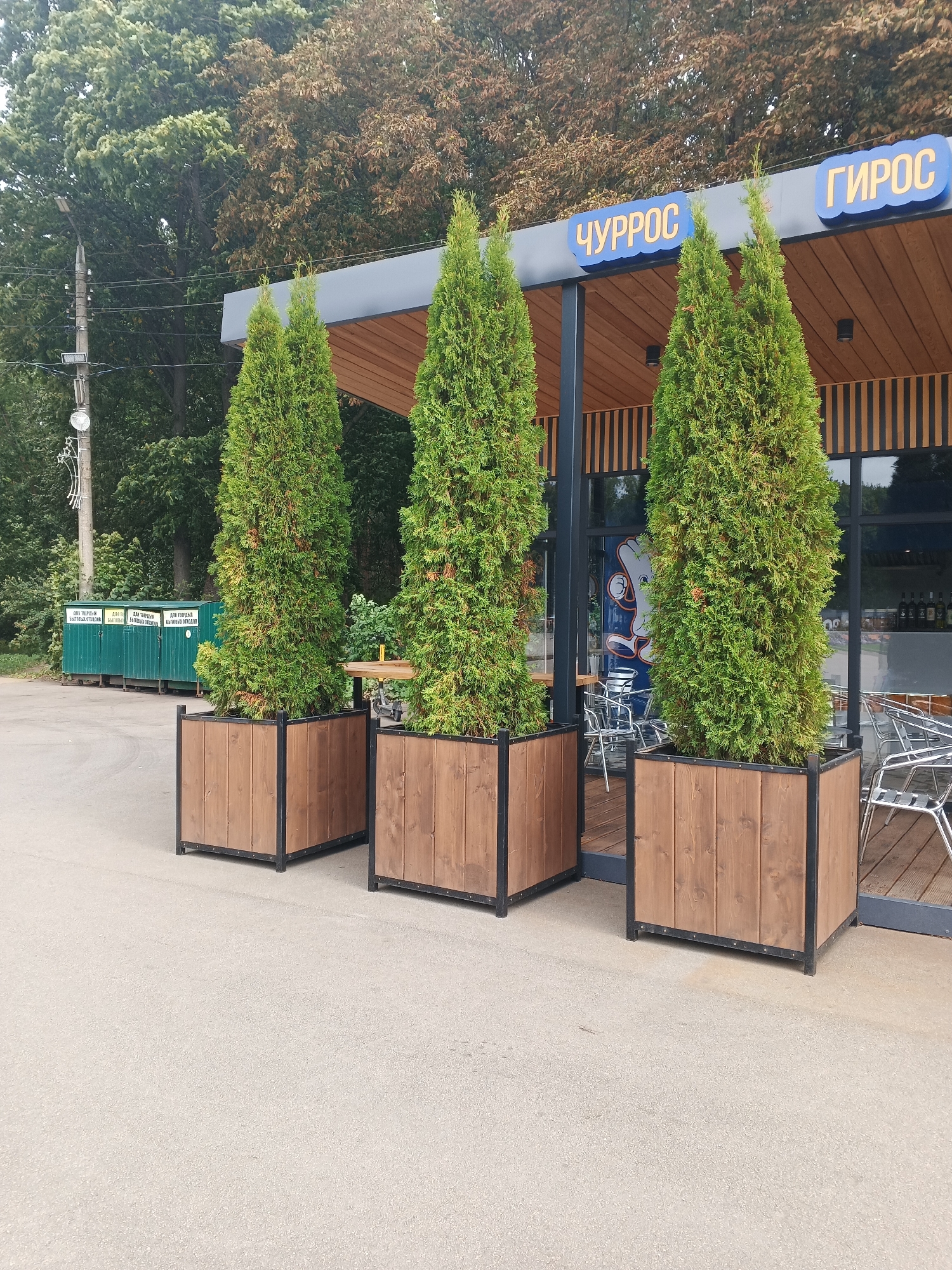 The image depicts an outdoor seating area in front of a commercial establishment with Cyrillic signage. Three tall, green coniferous trees in wooden planters with metal frames are positioned in the foreground. Behind the trees, a building with a modern facade features wooden paneling and large windows. Two signs are visible on the building's exterior, one reading "ЧУРРОС" and the other "ГИРОС". Outdoor tables and chairs are set up on a wooden deck. In the background, there are green recycling bins and trees, suggesting a park-like or urban setting. The overall scene is clean and well-maintained.