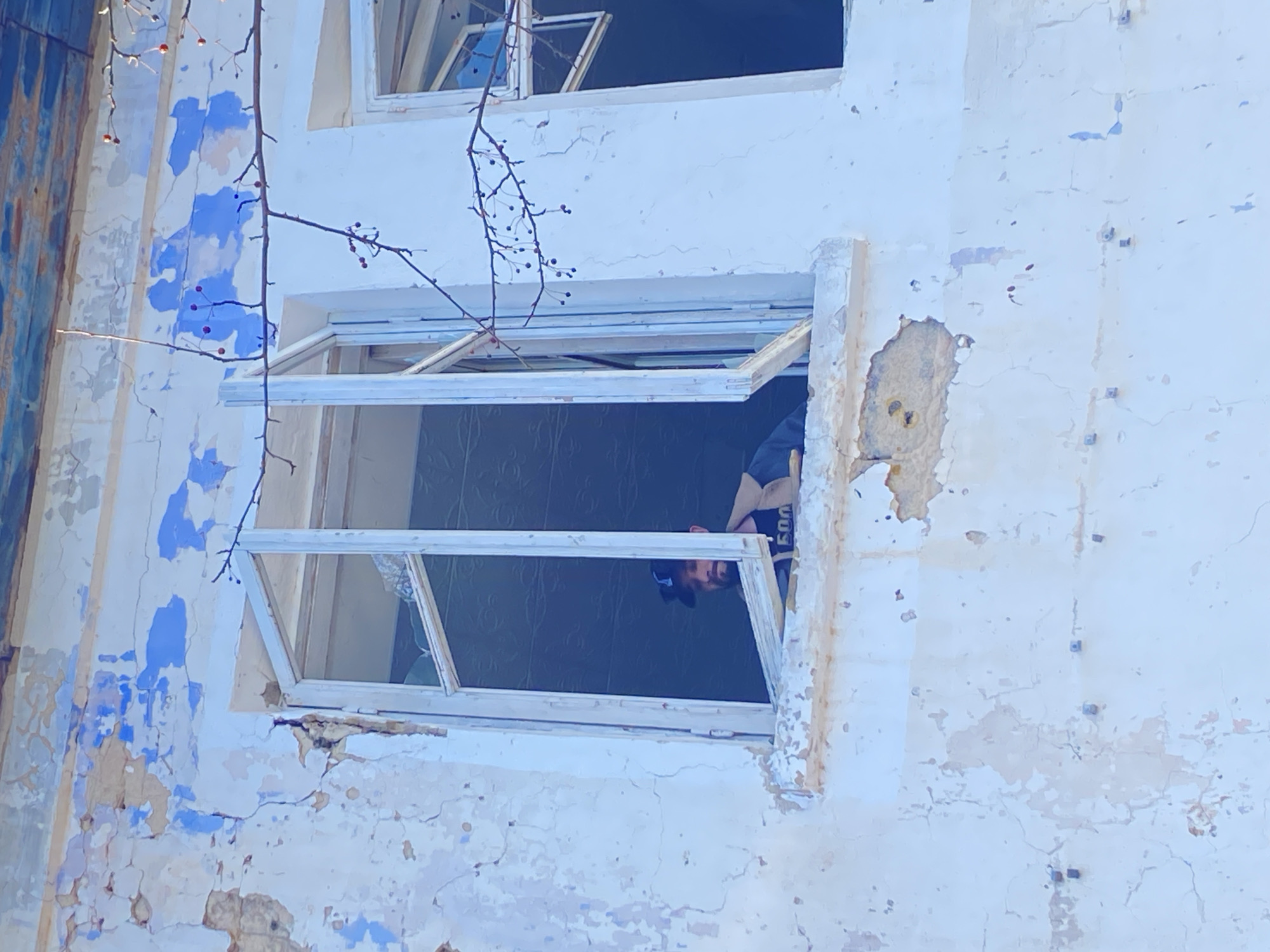 The photograph, taken in what appears to be Chaikovsky, Russia, shows a weathered building with peeling white and blue paint. A window is open, and a person is partially visible, looking out. The person is wearing a dark shirt, and a baseball cap. The building's architecture shows signs of age and disrepair. A bare tree branch with small berries partially obstructs the view of the building's facade.
