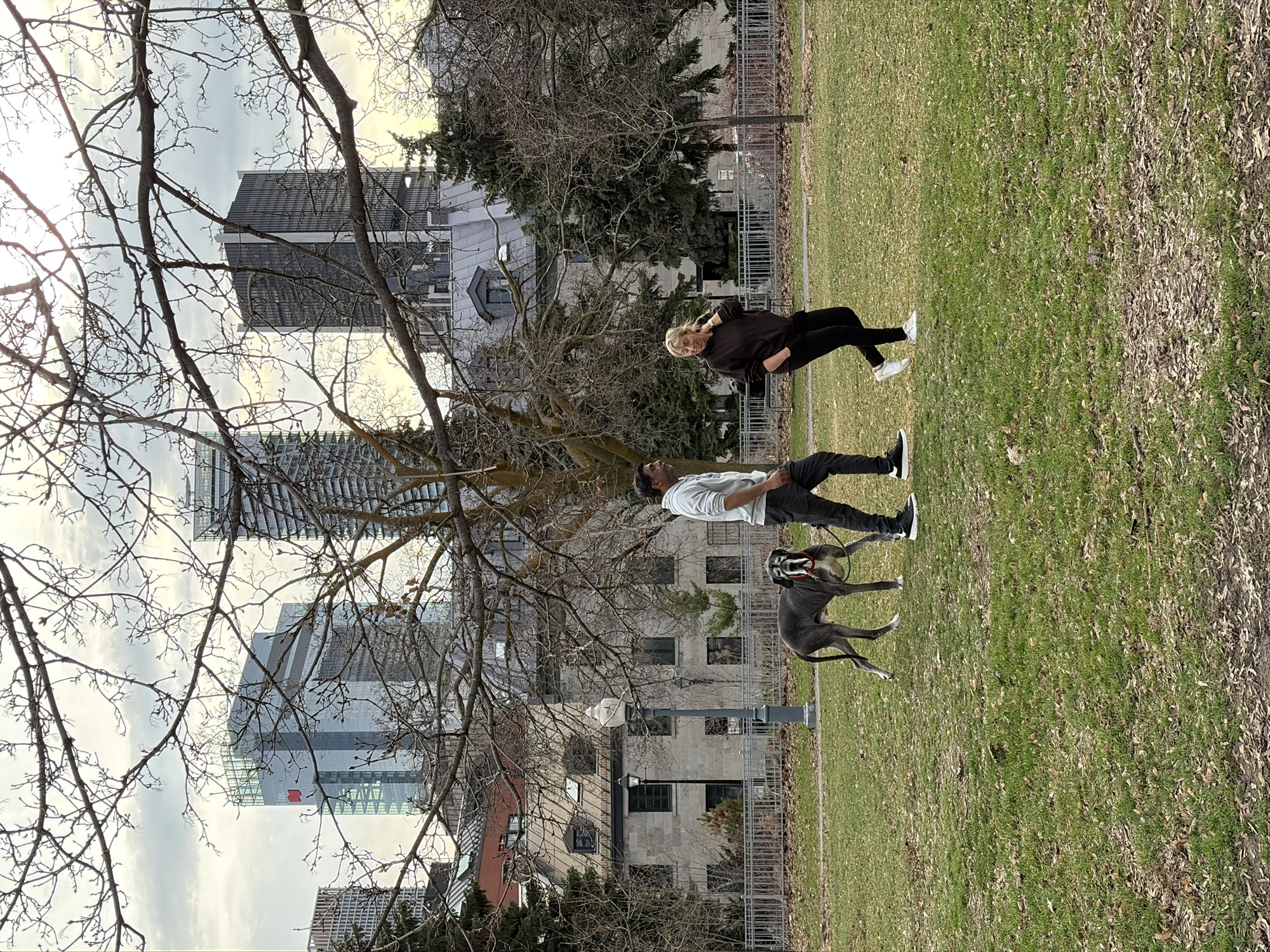 A photograph shows two people and a dog in a park. A blonde woman in a black jacket and black pants is at the top of the frame. A man in a light-colored shirt and black pants is in the middle of the frame, standing with a grey Great Dane with a red collar. A street lamp stands to the left of the Great Dane. In the background are bare deciduous trees, buildings of various heights, and a cloudy sky. This scene is in a park in Montreal, Canada.
