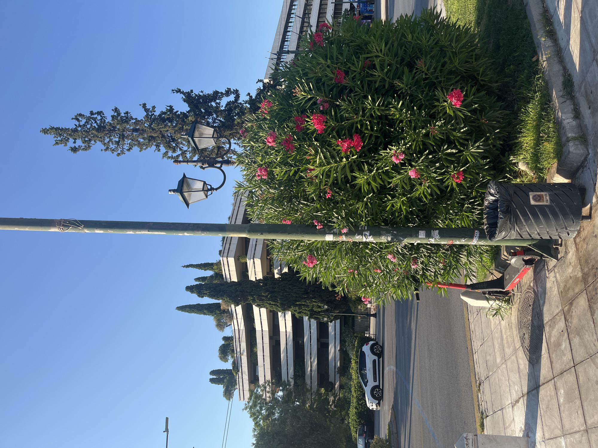 The image shows a street scene in Athens, Greece, under a clear blue sky. In the foreground, a red electric scooter is parked on a concrete sidewalk next to a black trash can. A lamppost with two lanterns stands behind the scooter and a large, leafy green bush with pink flowers. The sidewalk leads to a street where a white car is driving. In the background, a multi-story building with a modern, terraced design and green trees on its upper levels is visible. The building appears to be an office or residential complex. The overall impression is an urban environment with a touch of nature from the flowering bush and trees.