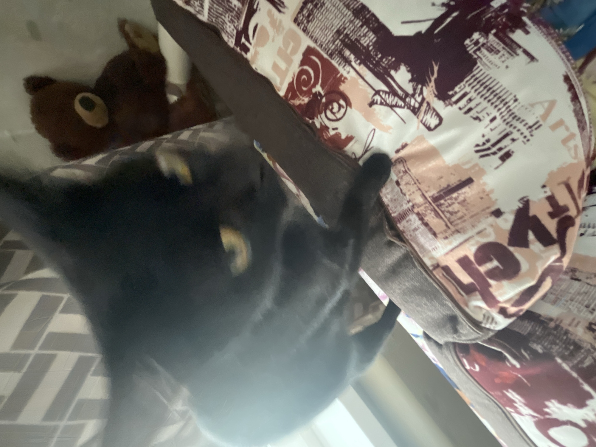 A blurry, slightly out-of-focus image shows a black cat peering down at the camera. The cat is positioned next to a pillow with a patterned cover, including words and designs in shades of brown, white, and pink. A brown teddy bear is partially visible in the background to the left of the pillow. A patterned bedsheet or cover is visible in the lower-left corner of the image. The image appears to have been taken indoors. There is no information to determine if the image was taken in Chaikovsky, Russia.