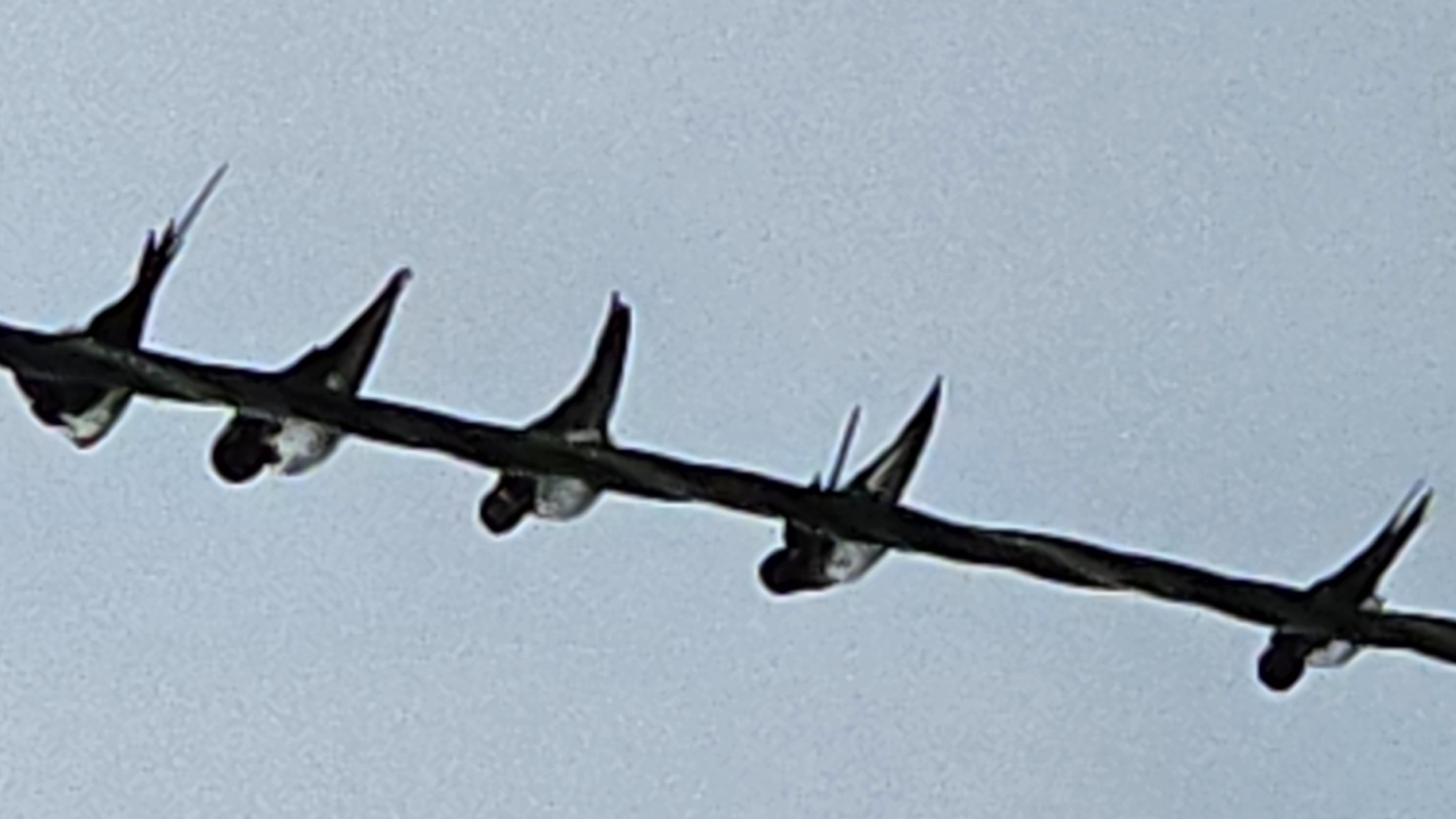The image shows a flock of five swallows perched on a wire. The wire is dark and appears to be twisted. The swallows are small birds with dark upperparts and lighter underparts, and they are all facing in the same direction, perched vertically. The background is a soft, light blue, suggesting an overcast sky. The scene is likely outdoors, given the presence of birds and a wire, and could be in any open area. No specific location in Kapūņi, Latvia can be determined from the image itself.