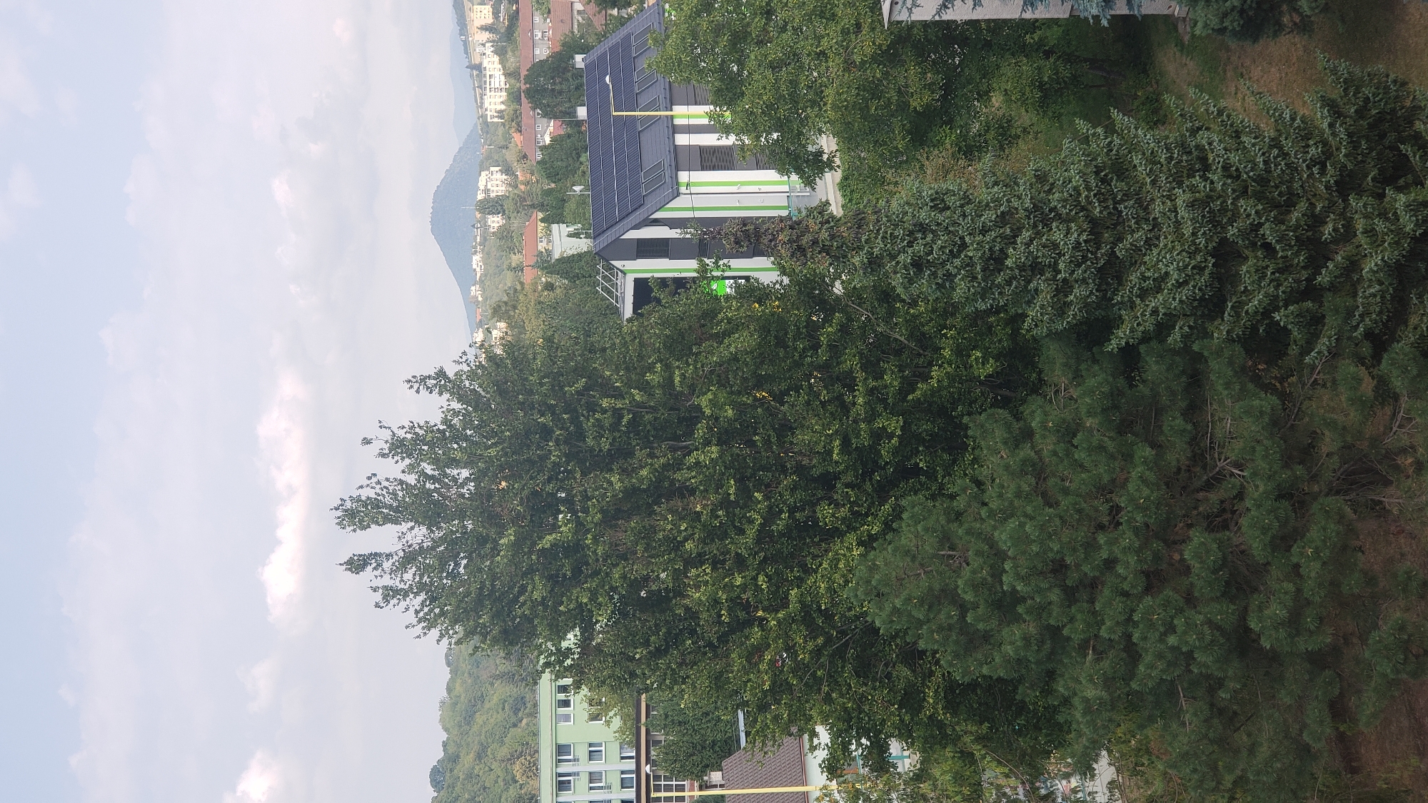 The image captures a view of a residential area in Prešov, Slovakia. In the foreground, a dense arrangement of evergreen trees dominates the scene, with a large deciduous tree partially obscuring the view of buildings behind it. To the right of the deciduous tree, a modern, two-story building with a slanted roof covered in solar panels is visible. This building features a distinctive striped facade in white, dark gray, and bright green. Further in the background, a larger, multi-story building with a light green facade and numerous windows is situated to the left. Beyond the immediate buildings, a wider cityscape unfolds, with more residential structures and some scattered trees extending towards a distant, conical hill. The sky is overcast with scattered white clouds. The overall impression is of a suburban or semi-urban environment with a blend of natural greenery and contemporary architecture.