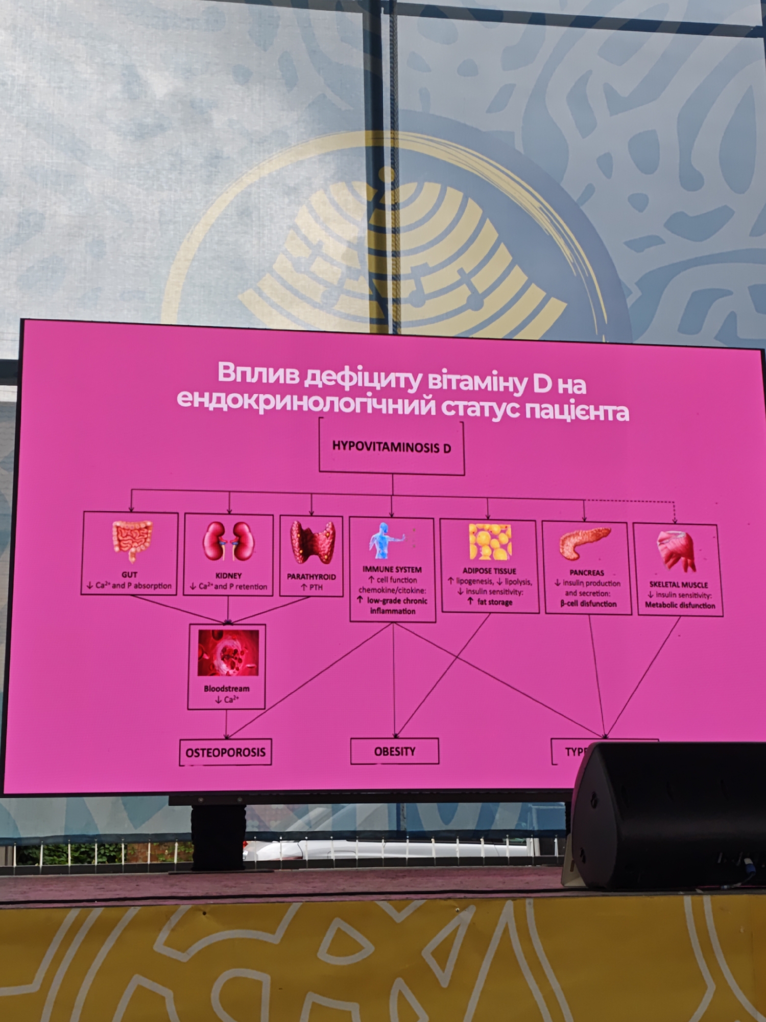 A large, rectangular digital display screen with a bright pink background is centrally positioned on a stage in what appears to be an outdoor or semi-outdoor setting in Vinnytsia, Ukraine. The screen presents a medical flowchart detailing "HYPOVITAMINOSIS D" (Vitamin D deficiency) and its impact on a patient's endocrinological status. The title, in Ukrainian, reads "Вплив дефіциту вітаміну D на ендокринологічний статус пацієнта," translating to "The effect of vitamin D deficiency on the endocrinological status of the patient."
The flowchart illustrates how hypovitaminosis D affects several organs and systems:
- **GUT:** Decreased Ca²⁺ and P absorption.
- **KIDNEY:** Decreased Ca²⁺ and P retention.
- **PARATHYROID:** Increased PTH.
- **IMMUNE SYSTEM:** Decreased cell function, increased chemokine/cytokine, increased low-grade chronic inflammation.
- **ADIPOSE TISSUE:** Increased lipogenesis, decreased lipolysis, decreased insulin sensitivity, increased fat storage.
- **PANCREAS:** Decreased insulin production and secretion, β-cell dysfunction.
- **SKELETAL MUSCLE:** Decreased insulin sensitivity, metabolic dysfunction.
Arrows from the GUT and KIDNEY sections converge to a "Bloodstream" box, indicating decreased Ca²⁺. This, in turn, points to "OSTEOPOROSIS." The "ADIPOSE TISSUE" section points to "OBESITY." The "PANCREAS" and "SKELETAL MUSCLE" sections point to a partially visible box labeled "TYPE" (likely indicating Type 2 Diabetes).
The screen is supported by a dark, unseen stand. On the stage floor to the right of the screen, a black, trapezoidal audio speaker or monitor is positioned. The stage floor in the foreground is light-colored, possibly white or pale yellow. Behind the screen, a large backdrop features a light blue base with a darker blue swirling pattern. A large, partial circular design with concentric yellow arcs is visible behind the screen's left side. Between the stage and the backdrop, some green foliage is discernible, suggesting an outdoor environment. No individuals are visible in the immediate foreground interacting with the display.