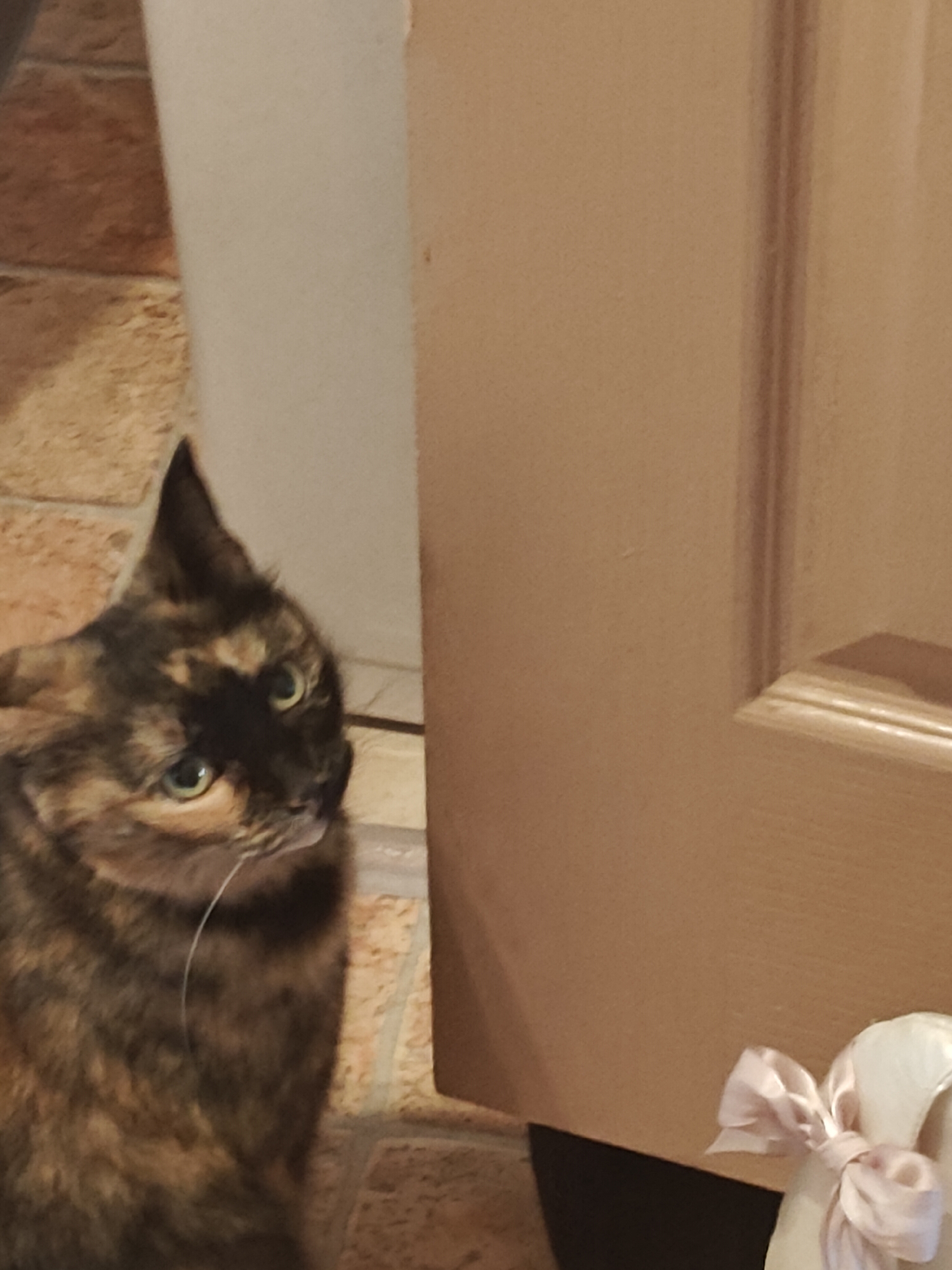 A tortoiseshell cat with green eyes is positioned in the foreground, looking to the right. The cat's fur displays a mixture of black, brown, and orange patches. Its whiskers are visible, extending from its nose. Behind the cat, a light-colored, cylindrical object stands upright, possibly a pillar or a tall vase. To the right of the cat and the cylinder is a closed, light brown door with a vertical seam running down its center. A pink ribbon bow is attached to the bottom right corner of the image, on what appears to be a white fabric item. The floor in the background is tiled with light brown, square tiles. The scene is lit, and the composition suggests an indoor setting.