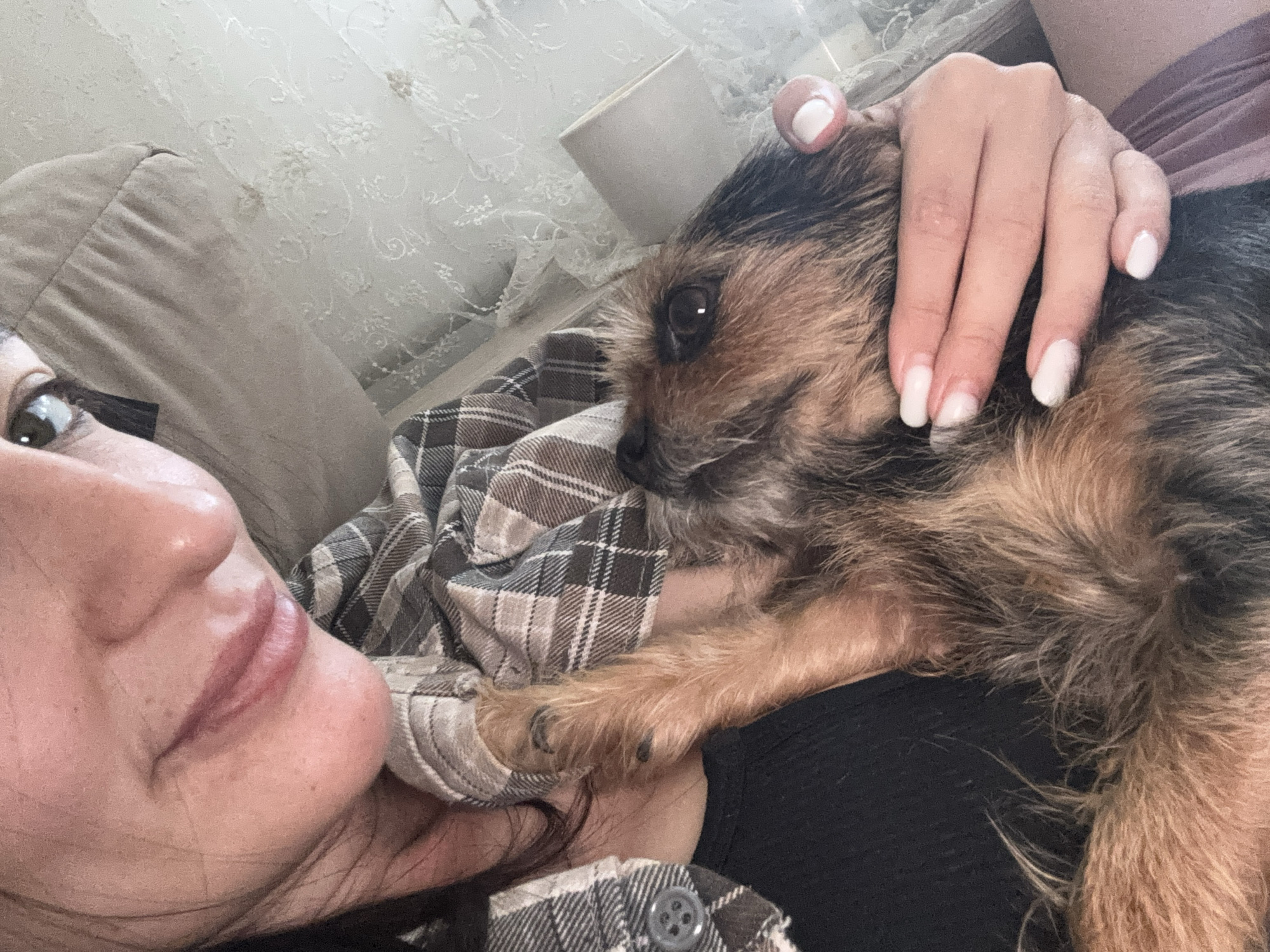 A woman lies on a couch, cradling a small terrier-type dog. The woman is wearing a plaid shirt, and her fingernails are painted white. Her left cheek is close to the camera, with her face slightly blurred. The dog is lying on her chest, with a hand resting on its head. The background includes a beige couch and a patterned curtain. The location in Sochi, Russia, cannot be determined from the information.