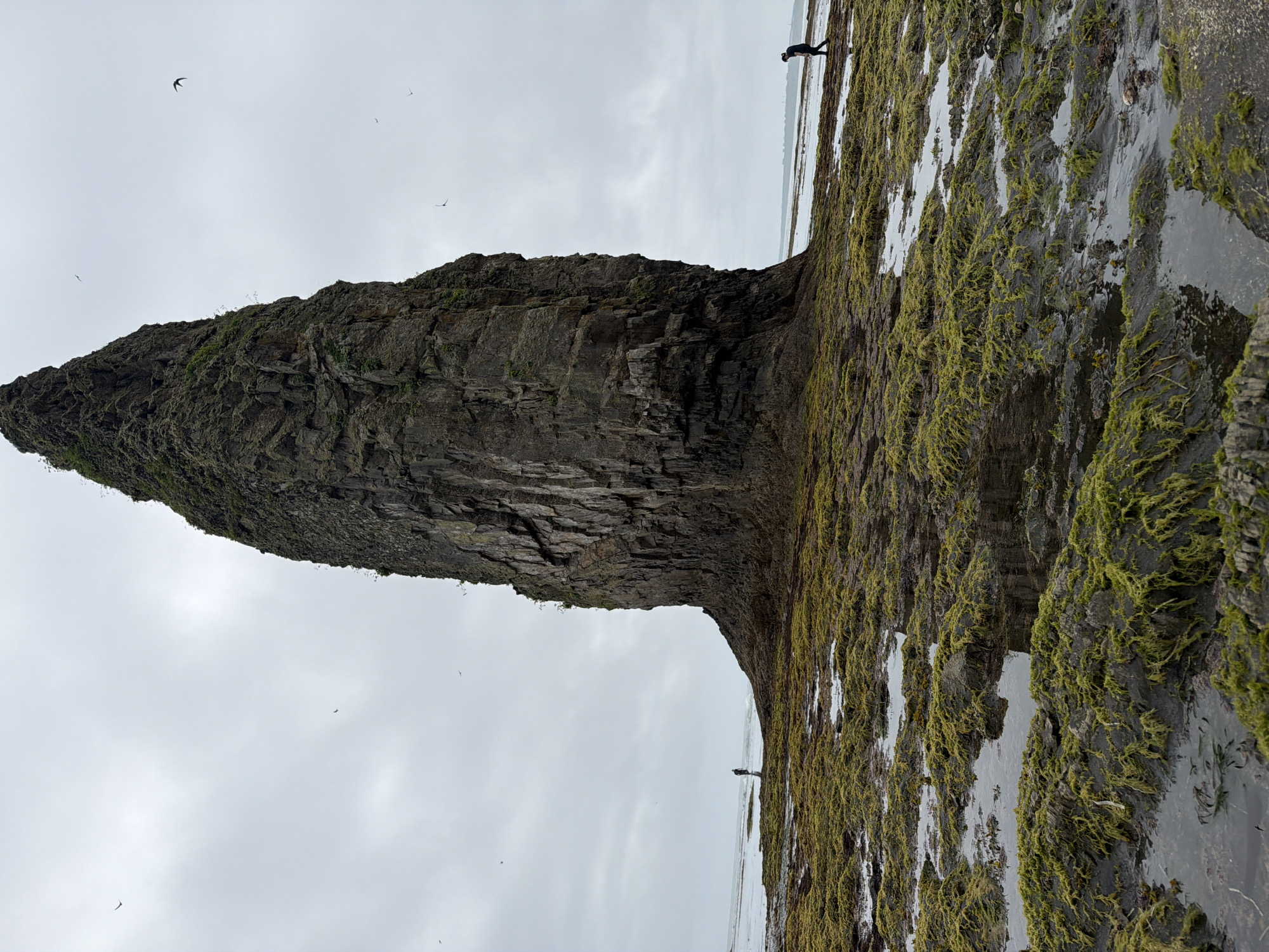 A tall, dark, craggy rock formation stands in the center of the frame, rising from a rocky, moss-covered shore. The rock is ancient and weathered, with visible layers and textures. The shore is wet and reflective, dotted with tide pools and covered in vibrant green algae. In the distance, the ocean stretches out under a cloudy, overcast sky. Two people are visible on the shore, small figures dwarfed by the imposing rock. One person stands near the base of the rock on the left, and another walks along the shore on the right. Several birds are in flight in the sky. The overall scene evokes a sense of rugged, natural beauty and the vastness of the ocean. The location is the coast of Yuzhno-Kurilsk, Russia.