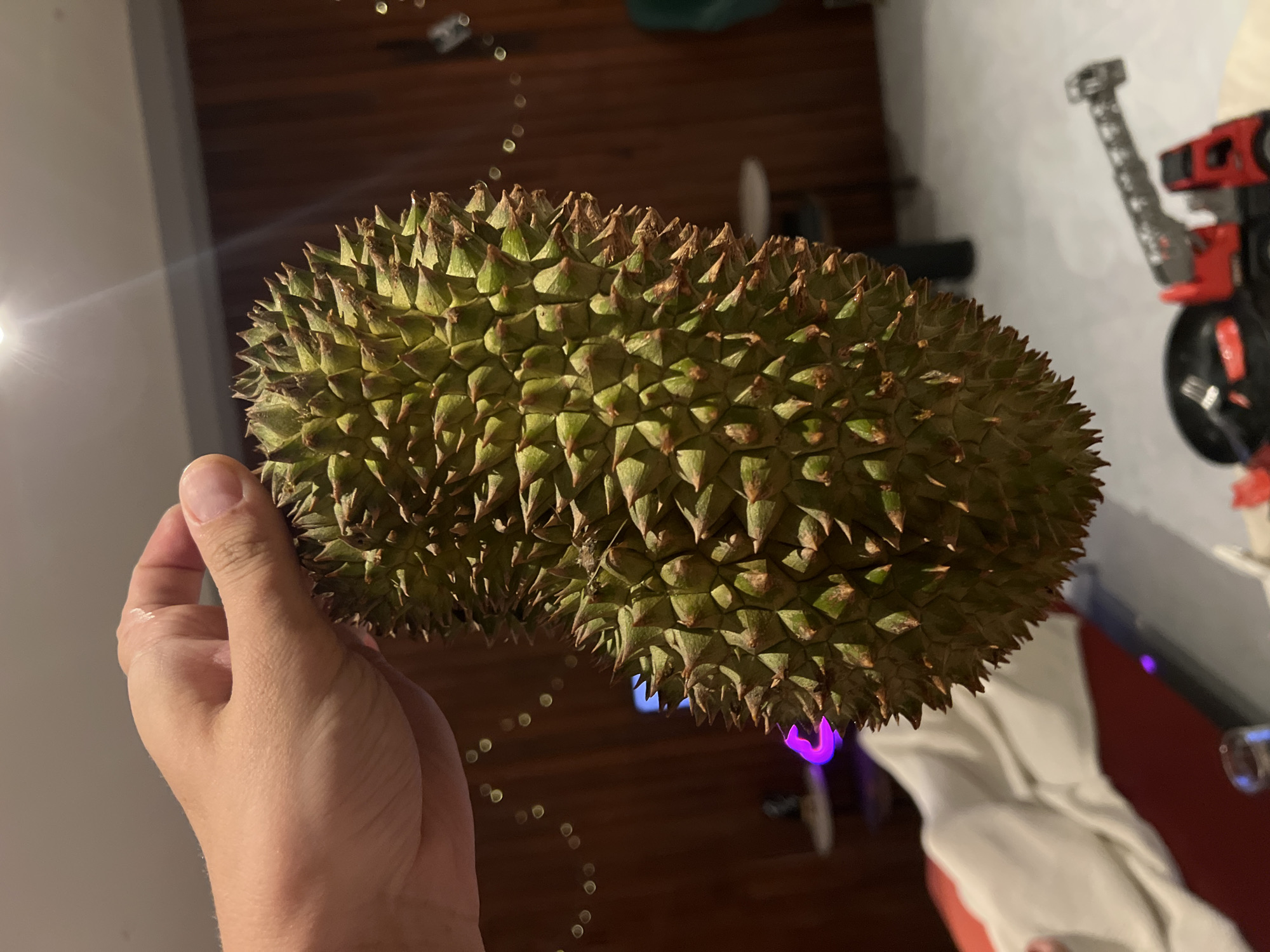 A person's hand is holding a large, spiky durian fruit. The durian is green with brown tips on its spikes and has an elongated, somewhat curved shape. The background is dimly lit and appears to be an indoor setting, possibly a living room, with wooden paneling on the wall and some out-of-focus furniture and decorations visible. A string of small lights is draped along the wall, and a purple light emanates from a device in the lower left portion of the image. In the lower right corner, a toy crane truck is visible. The scene appears to be candid, with no clear indication of the specific location within a city or country.
