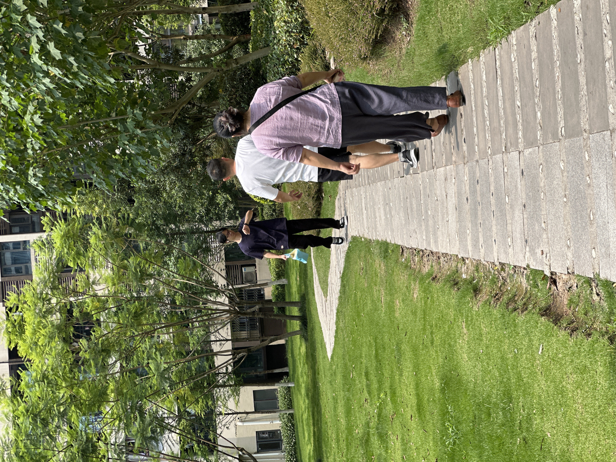 This image depicts an outdoor scene in the Chongqing High-tech Zone, China, under clear daylight conditions. A winding path constructed of rectangular grey pavers with interspersed lighter accent blocks traverses a green lawn. The lawn shows some wear with exposed soil along the path's edge. Trees with various shades of green foliage and bushes are prominent on both sides of the path and in the background. Multi-story buildings, featuring visible windows and some external air conditioning units, are partially obscured by the trees in the distance.
Three individuals are present on the path. In the foreground, an adult with a bun hairstyle, dressed in a light purple short-sleeved top, dark grey loose-fitting pants, and brown flat shoes, walks away from the camera. A black strap crosses her left shoulder. Ahead of this individual, an adult male wearing a white short-sleeved t-shirt, dark shorts, and black and white athletic shoes walks in the same direction on the path. To their left, a young adult male, dressed in a dark short-sleeved t-shirt, black pants, and black and white athletic shoes, walks towards the other two. He holds a light blue object in his left hand and observes a device on his left wrist.