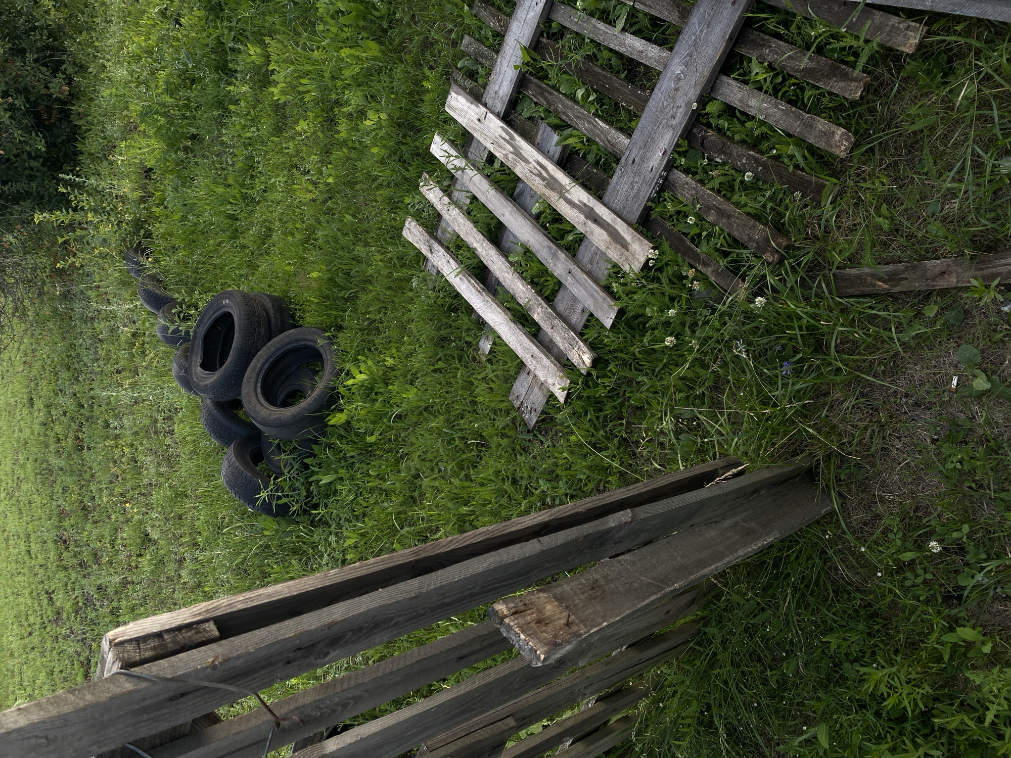 This is a high-angle, medium shot of an outdoor scene in Oktyabr'skii, Russia, with a focus on weathered wooden fencing and discarded tires amidst overgrown green grass and clover. The wooden fence is constructed from rough, aged planks, some of which are broken or detached, indicating disrepair. A section of the fence is laid horizontally on the ground, appearing to be part of a dismantled structure.
In the left portion of the image, a stack of five black tires is partially submerged in the tall grass. The tires are worn, suggesting they have been used and discarded. The surrounding area is densely covered with green grass, interspersed with small white flowers, likely clover. Towards the top left, dense foliage and greenery are visible, hinting at the presence of trees or bushes.
The scene appears to be set during the daytime, with natural light illuminating the area. There are no people or animals visible. The overall impression is one of neglect and abandonment, with natural elements reclaiming man-made objects. The wooden materials suggest a rural or semi-rural setting, possibly a yard or an abandoned lot. No text is visible in the image.