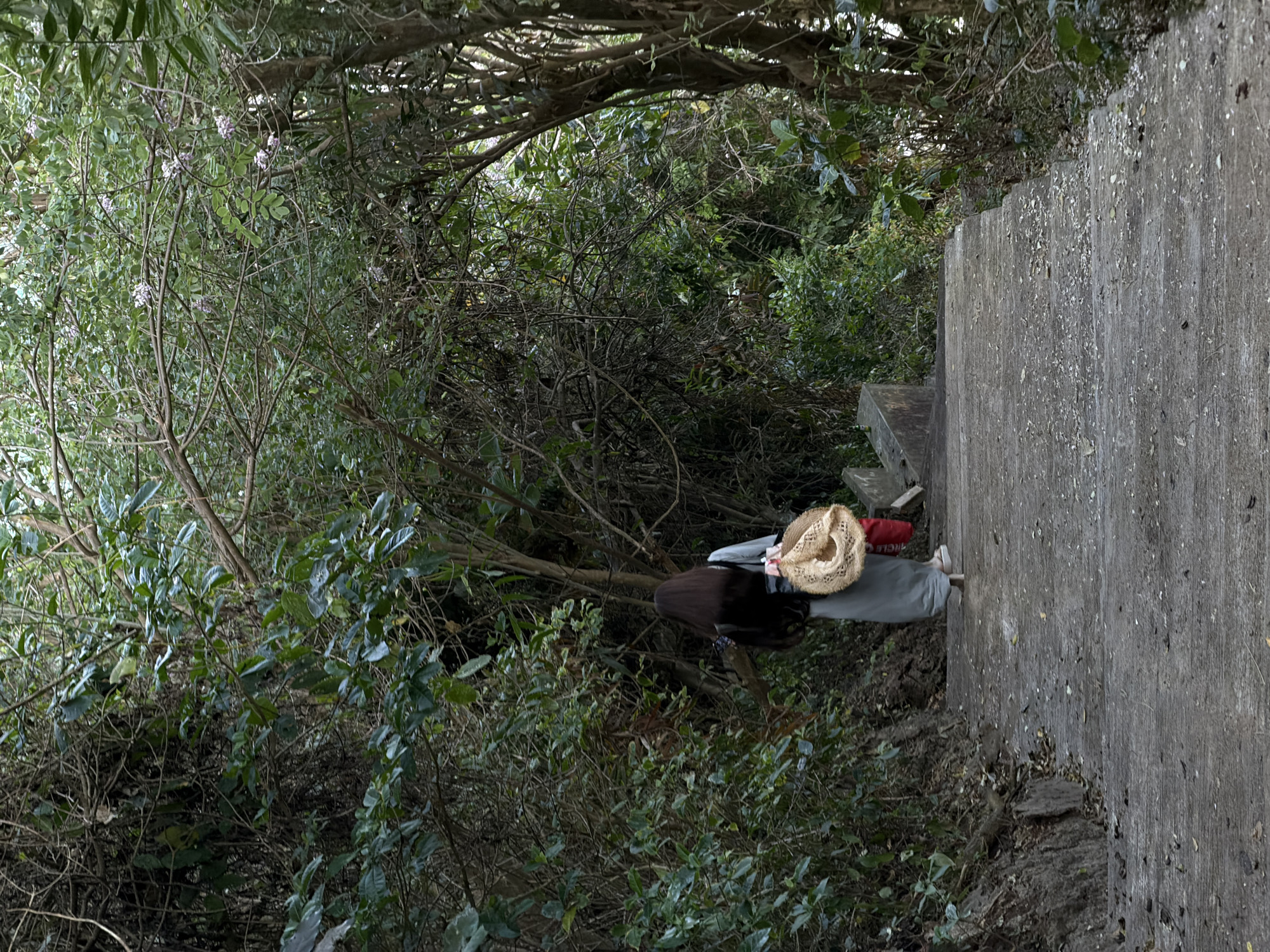 A person with long dark hair, seen from behind, walks down a concrete pathway that slopes downwards. They are wearing a light blue or grey long-sleeved top and a long grey skirt, and white sandals. In their right hand, they are carrying a straw hat and a red bag. The pathway is bordered by dense green foliage and trees. The environment appears to be a natural, possibly a park or hiking trail, with a slightly overcast or shaded atmosphere. The location is Kuta Selatan, Indonesia.