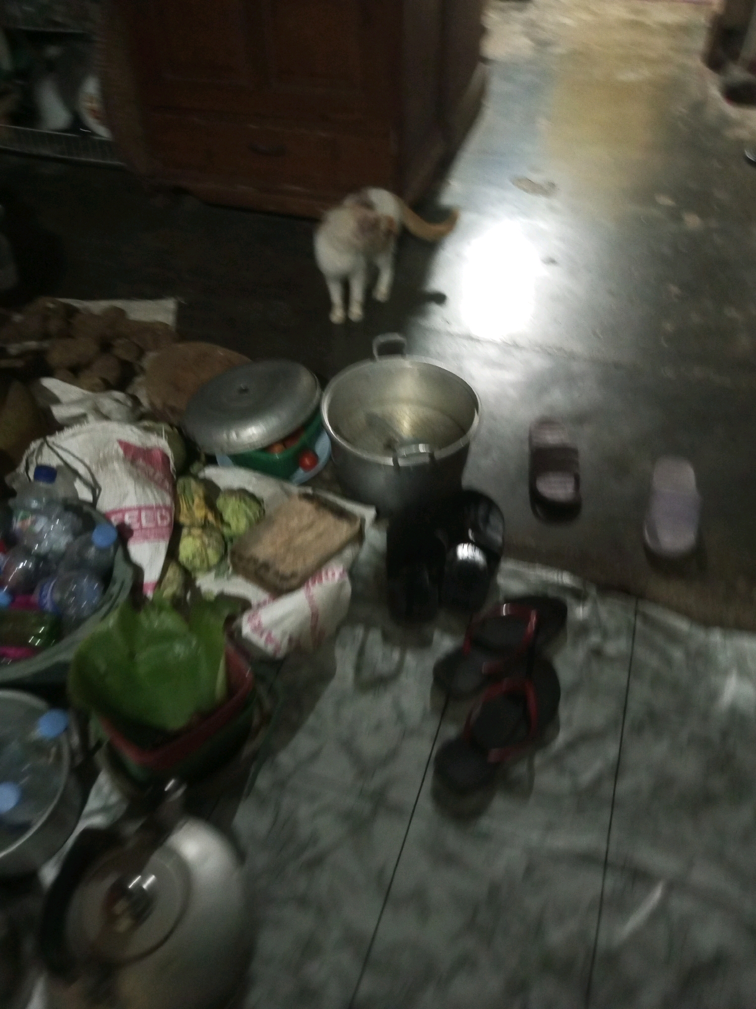 The image depicts an indoor scene, likely a residential space, with a focus on a variety of objects scattered on the floor. In the foreground, there are several pairs of flip-flops and a metal pot. To the left, a collection of plastic water bottles and what appear to be fruits or vegetables are visible. A large pot with a lid is situated in the middle ground, next to a large metal pot. In the background, a cat with white and orange fur is standing, facing away from the camera. Behind the cat, a portion of a wooden cabinet is visible. The floor appears to be a polished concrete surface. The lighting is dim, suggesting an indoor environment with limited natural light. The image was captured in Andongsili, Indonesia.