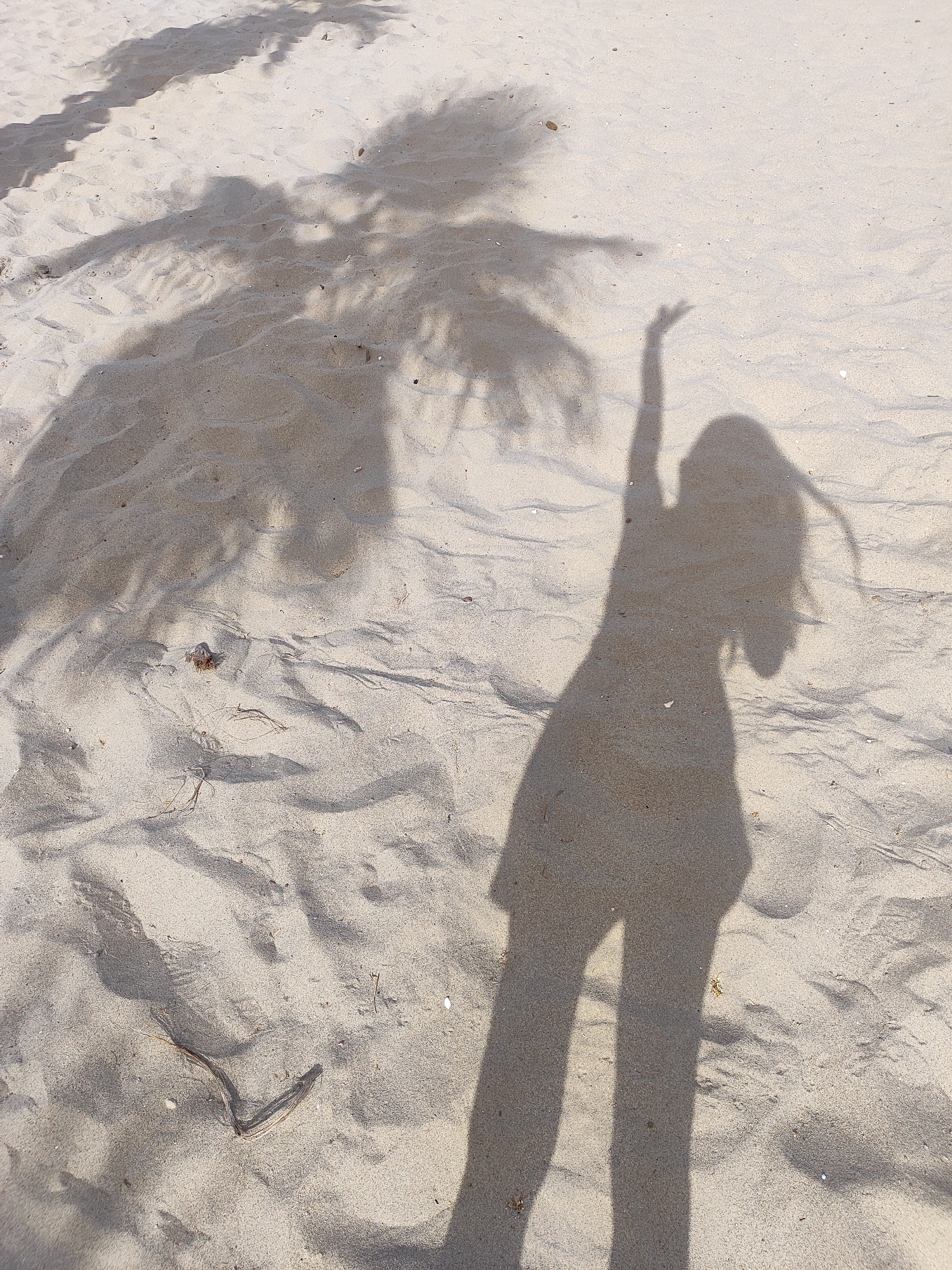 The image shows a shadow of a person with their right arm raised, standing on a sandy beach. The shadow of palm fronds is cast across the sand from the left side of the frame. The sand is light brown and textured with ripples and small debris. The lighting suggests it is daytime. The scene appears to be on a beach in El Campello, Spain, given the characteristic sandy shores and palm trees common to the area. The person's shadow is centrally located in the lower half of the image and is a dark silhouette against the lighter sand.