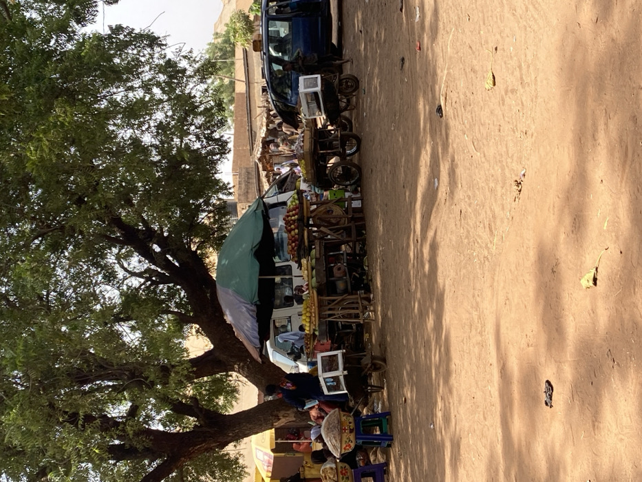 This image captures an active outdoor market scene in Mokwa, Nigeria, under bright daylight. The ground is unpaved, reddish-brown earth, with scattered debris including leaves and minor litter. A large, mature tree with dense green foliage provides significant shade over the central market area.
In the mid-ground, multiple market stalls and vendor setups are visible. A prominent stall is covered by a large, multi-colored (green, grey, black) umbrella, shading displays of various fresh produce, including red apples, yellow fruits (possibly mangoes or oranges), watermelons, and corn. Adjacent to this, other wooden tables and two-wheeled carts also display produce. One cart on the right carries a white rectangular display case.
A white van or mini-bus is parked behind the central fruit stalls, with an individual partially visible inside. To the far right, a dark blue minivan or SUV is parked with its passenger-side sliding door open; a young child stands near this open door.
On the left side of the scene, near the base of the large tree, a person dressed in dark clothing and a headscarf stands with their back to the viewer. Nearby, several large, woven baskets, one decorated, rest on blue plastic stools, containing goods. A white display case is positioned on a simple wheelbarrow next to these items. In the background, beyond the immediate stalls and vehicles, a bustling crowd of individuals is discernible within the market area, with several light-colored buildings featuring flat roofs visible against a pale sky. Shadows from the tree and market structures are cast across the foreground.