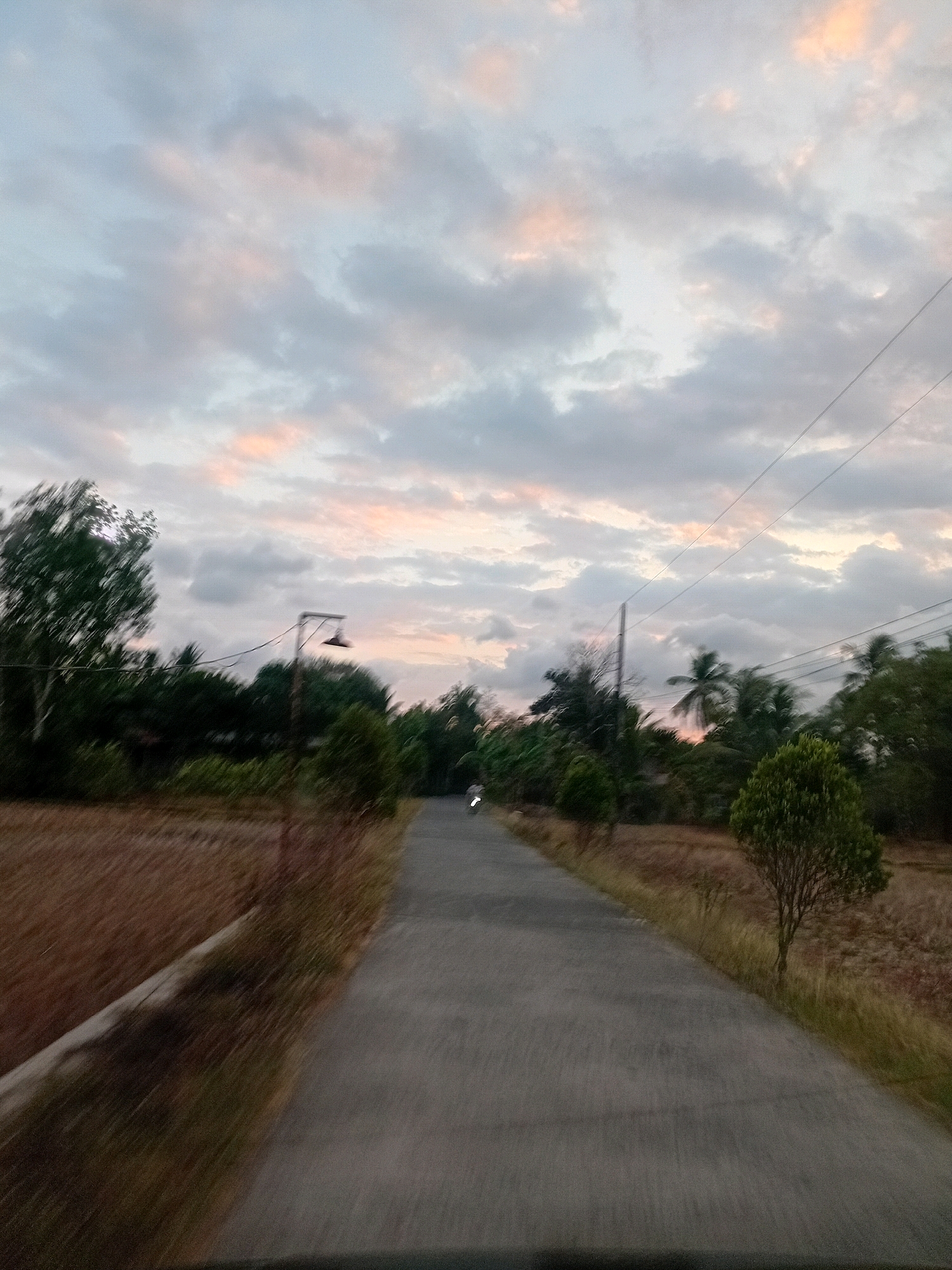 The image captures a rural road in Gebang, Indonesia, likely during the early morning or late afternoon given the soft, diffused lighting. The sky is filled with a mix of gray and pale pink clouds, suggesting either sunrise or sunset. A paved road, appearing wet or reflective, stretches into the distance, with motion blur indicating movement.
On either side of the road, there are fields of dry, brown vegetation, likely harvested rice paddies. Dense foliage and trees, including palm trees, line the edges of the road, creating a lush, tropical environment. A lone lamppost stands on the left side of the road, its light off. In the distance, the faint silhouette of a person on a motorcycle is visible, adding a sense of scale and life to the scene. Electrical wires stretch across the sky, supported by poles, indicating the presence of infrastructure in this rural setting. The overall impression is one of a tranquil, everyday scene in the Indonesian countryside.