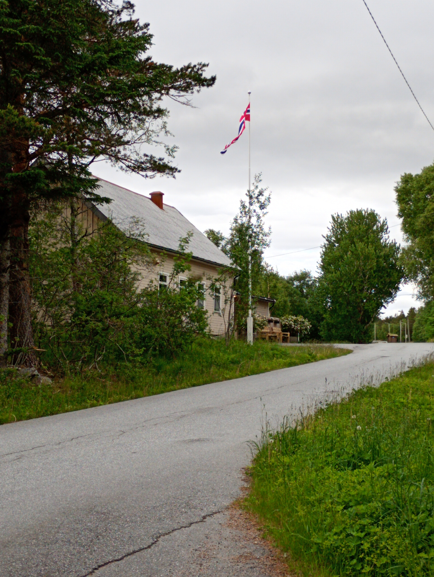 A serene, rural landscape is depicted in this image, featuring a long, winding asphalt road that curves towards the right side of the frame, disappearing into a dense forest of green trees. The road is flanked by lush, vibrant green grass and foliage, with some areas appearing slightly overgrown. The sky is overcast, with a dull, gray cloud cover.
Dominating the left side of the image is a large, old, wooden house with a light-colored exterior and a light gray, corrugated metal roof. A red brick chimney protrudes from the roof. In front of the house, to the left, stands a large, dark-barked tree with dense green foliage. To the right of the house, a flag pole with a red, white, and blue flag is prominently displayed, fluttering in the wind. Further to the right, nestled amongst the trees, is a smaller wooden structure, possibly a shed or outbuilding.
In the foreground, the road exhibits cracks and some signs of wear. The overall atmosphere is quiet and secluded, suggesting a remote, countryside setting. There are no people or animals visible in the scene.