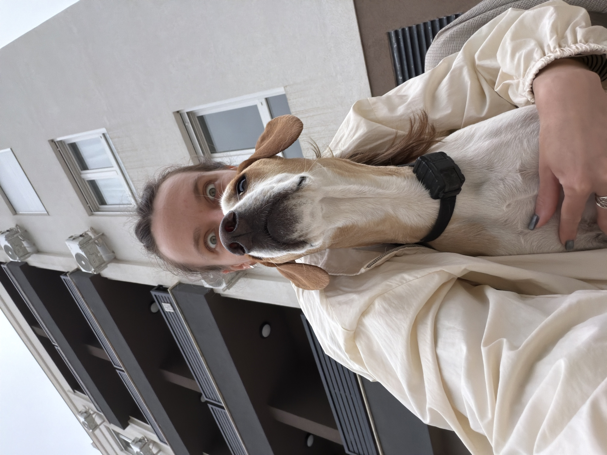 A woman is holding a dog in her arms. They are likely outside, based on the building facade behind them featuring windows and exterior architectural details like dark vertical stripes and external air conditioning units. Considering the location in Budva, Montenegro, this scene is likely to be somewhere along the coastal city. The dog is wearing a black collar with a small, rectangular, electronic device attached. The woman is wearing a light-colored, jacket. The dog appears to be looking at the camera. The woman is looking at the camera with an intense expression.