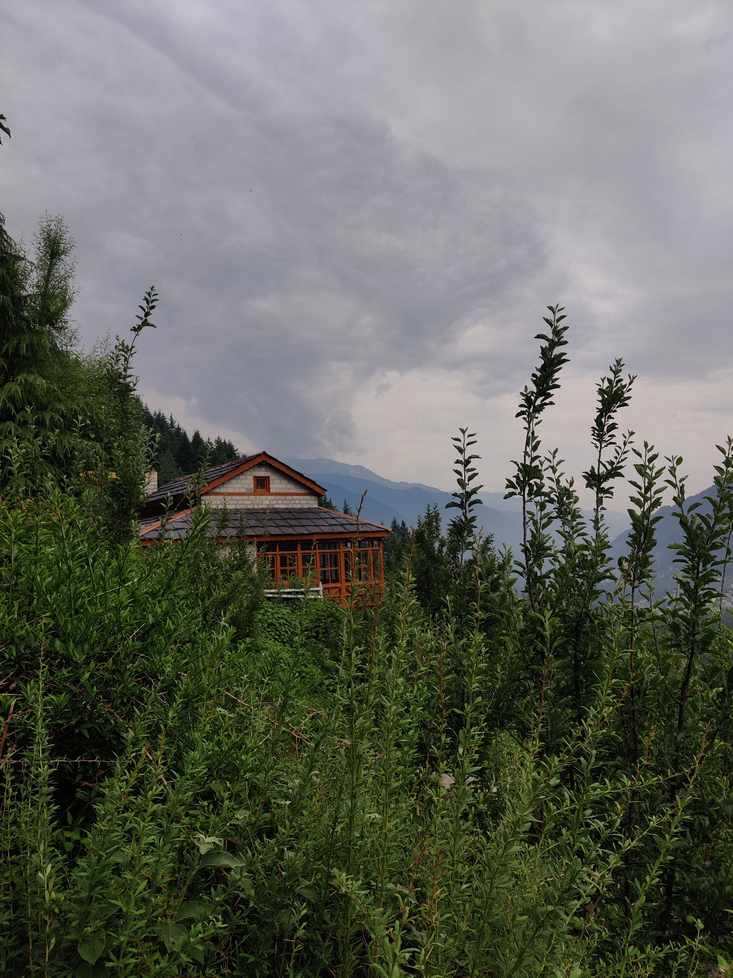 This image depicts a house nestled amidst lush greenery on a hillside, with mountains visible in the distance under a cloudy sky. The house appears to be constructed with stone and wood, featuring a tiled roof and a charming wooden-framed porch. The foreground is dominated by dense vegetation, with various plants and branches obscuring parts of the scene. Tall, slender trees with small leaves are prominent, some reaching towards the sky. The overall impression is one of a tranquil, secluded dwelling in a natural, possibly rural, mountainous setting. The time of day appears to be overcast, possibly late afternoon or early morning, given the diffused light. The weather seems to be cloudy, contributing to the subdued tones of the landscape. The location, Vashisht, India, suggests a Himalayan region known for its scenic beauty and mountainous terrain. No people or specific activities are visible, emphasizing the peaceful and serene atmosphere of the location. There is no visible text in the image.