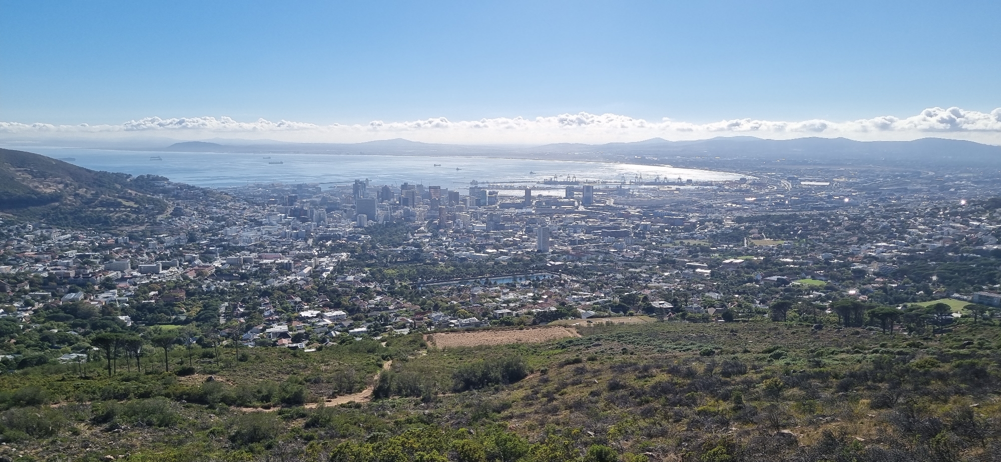The image depicts an elevated view of Cape Town, South Africa. In the midground, the city center is visible with dense buildings. Beyond the city center lies a harbor with cranes and various ships. A body of water stretches out to the horizon, bordered by land masses. The sky is clear and blue with scattered clouds. The foreground is covered in vegetation, including shrubs, trees, and a small path.