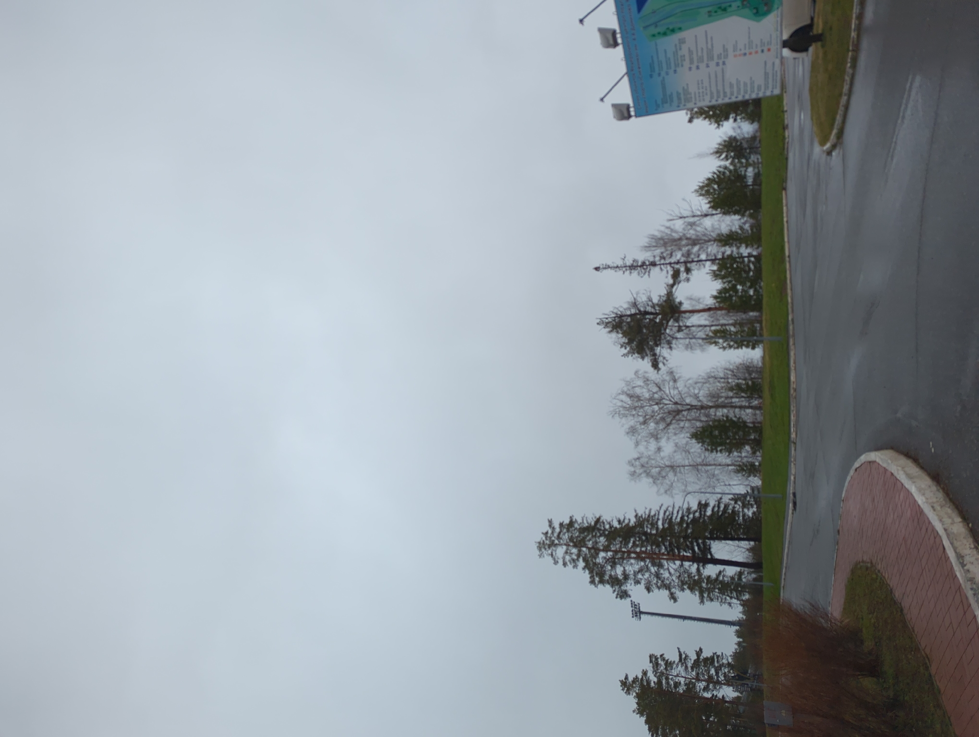 The image depicts a street scene in Прикамский, Russia, on an overcast day. The foreground shows a paved road with a brick-lined edge. Adjacent to the road is a grassy area dotted with trees of varying sizes and foliage. A large information sign is visible at the top of the frame, mounted on poles and illuminated by lights. The sky is a uniform gray, suggesting a cloudy or rainy day. There are no people visible in the image.