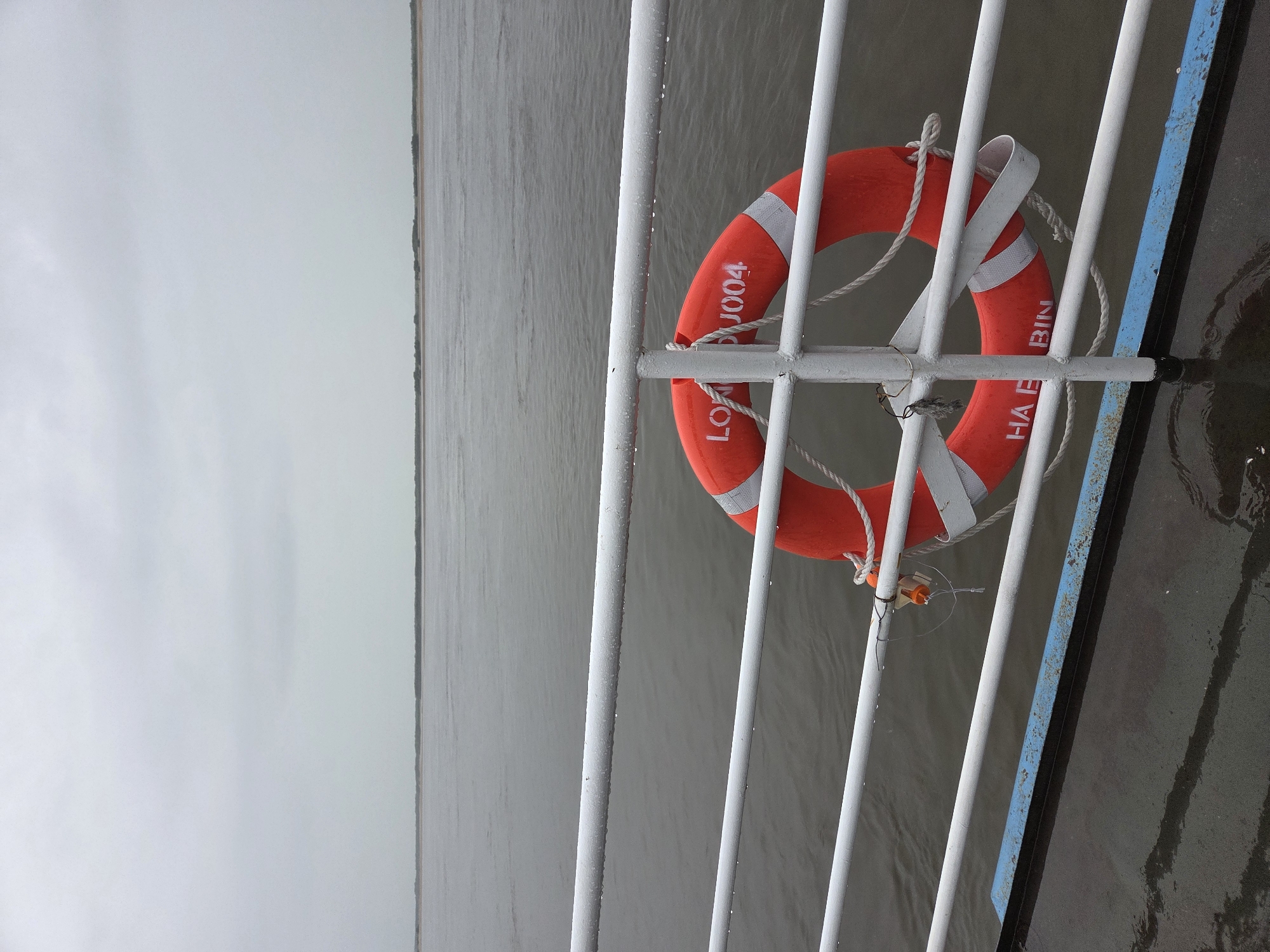 The image captures a static scene from a boat or waterside structure, dominated by a vibrant orange lifebuoy against a backdrop of a vast, calm body of water and an overcast sky. The photograph is oriented vertically, with the main subjects positioned on the right side.
A bright orange lifebuoy, marked with white reflective stripes, is the central object. It is tied with white ropes to a white metal railing, which consists of several vertical bars. The lifebuoy bears white capital letters: "LOXIA" (partially visible), "004," and "HABIN" (partially visible), strongly suggesting "LOXIA 004 HARBIN." A small, tangled orange and white object, possibly a light or sensor, hangs from one of the ropes securing the lifebuoy. The white railing bars are speckled with water droplets, indicating recent rain or a damp, misty atmosphere.
To the right of the railing, a weathered blue metal bar is visible near the bottom, contrasting with the otherwise muted tones. The immediate water surface by the boat is dark and reflective, showing slight rippling. Beyond the railing, a wide expanse of still, murky gray water stretches towards a faint, distant horizon line, where a thin, dark strip of land (likely a shoreline) is barely discernible. The sky above is a uniform light gray, blending with the distant water, suggesting an overcast, potentially misty or rainy daytime.
No people are present, and no particular activity or event is taking place. The scene conveys a sense of quiet and calm on a cloudy day, likely on a river or large lake in Harbin, China, as indicated by the text on the lifebuoy.