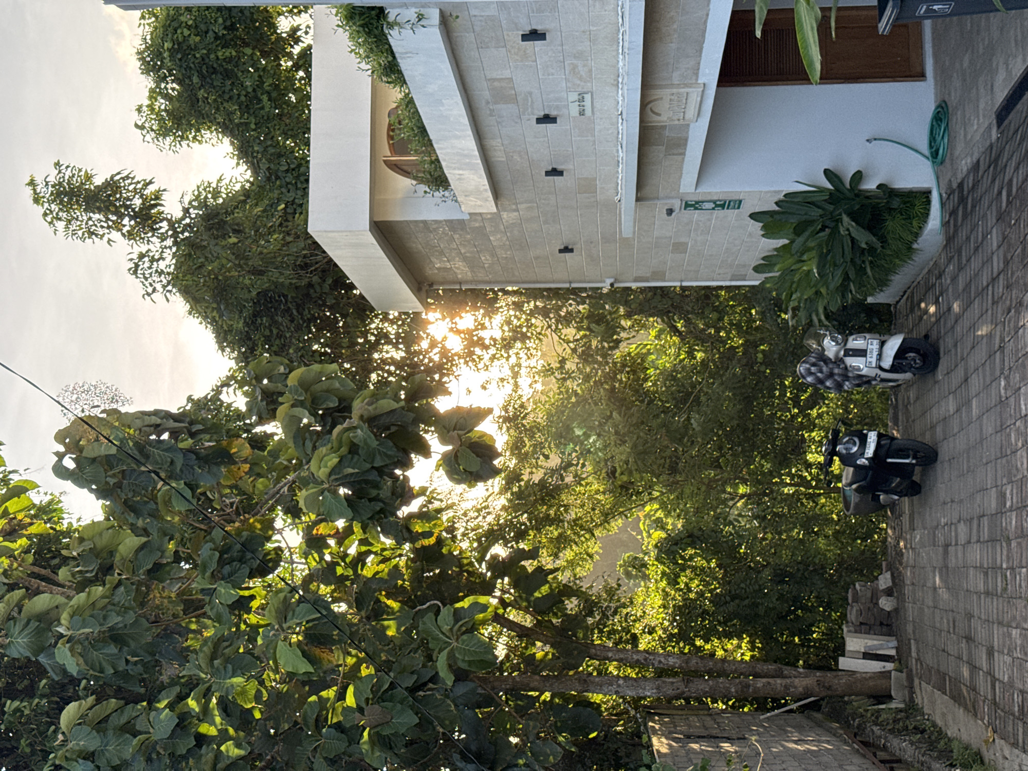 The image shows a partially obscured view of a building in Kuta Selatan, Indonesia. The structure features a light-colored facade, with visible architectural elements such as horizontal ledges and decorative plants growing along the exterior. Two motor scooters are parked on a paved area adjacent to the building. Lush green trees dominate the foreground, partially blocking the view of the building and creating a dappled effect of sunlight filtering through the leaves. The overall scene suggests a residential or commercial area with significant vegetation.