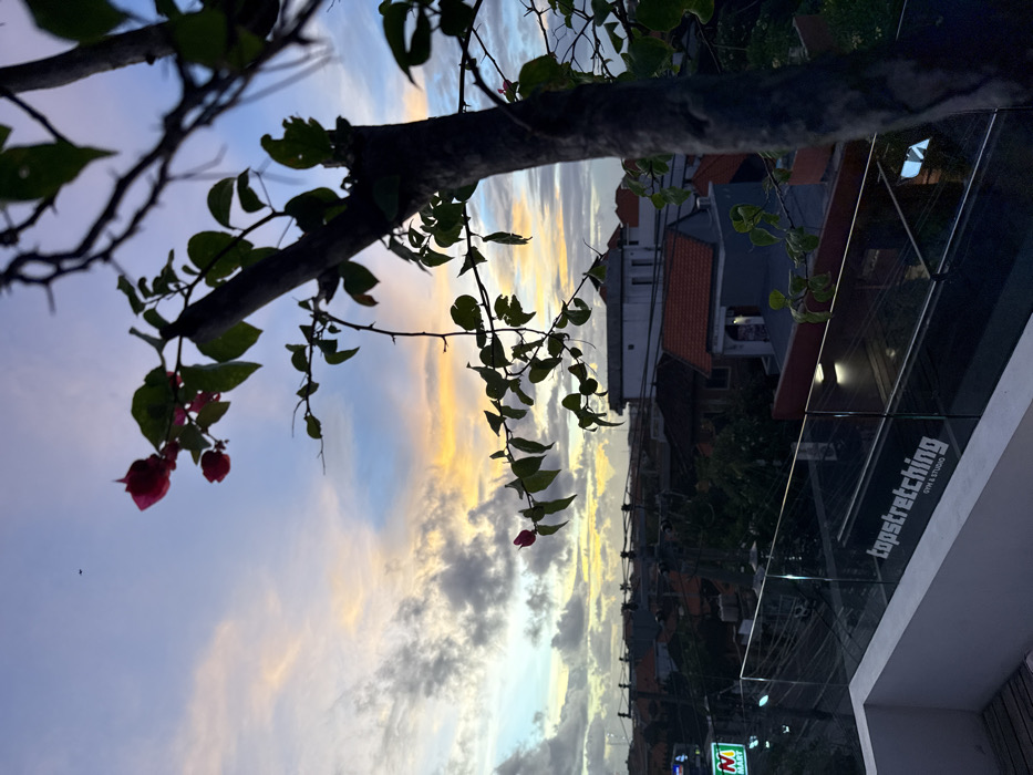 This image depicts an elevated view of a sunset over an urban area in Canggu, Indonesia. In the foreground, a dark-trunked bougainvillea plant with green leaves and several pink blossoms is positioned on the right, partially silhouetted. A white concrete parapet wall is visible at the bottom left, topped by a transparent glass railing. White lettering on the glass railing clearly displays "topstretching GYM & STUDIO". Below the railing, a street or alley runs horizontally across the midground.
The midground reveals a dense cluster of low-rise buildings, many with red-orange tiled roofs, indicative of residential or commercial structures. Streetlights and interior lights are beginning to illuminate some buildings. On the far left, a bright green sign for "N MART" is visible. Numerous utility poles and overhead power lines traverse the scene above the buildings. In the background, the sky displays a gradient of colors from blue and purple at the top, transitioning to vibrant orange and yellow near the horizon, with scattered dark and light clouds. A small, dark, airborne object, possibly an aircraft, is faintly visible in the upper left sky. No individuals are discernibly present.