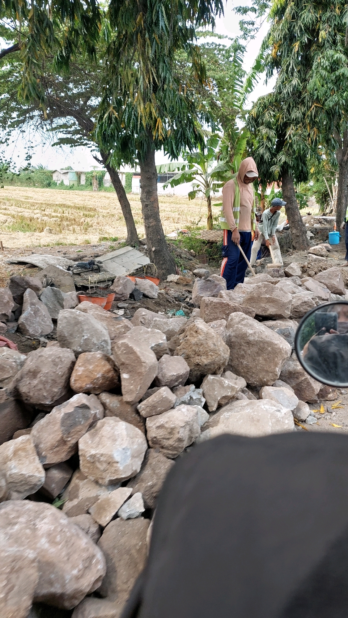 The image depicts a scene on an unpaved road or work area in Pilang, Indonesia, characterized by scattered rocks, construction debris, and vegetation. In the foreground, a large pile of rough, light brown rocks dominates the lower portion of the frame. Behind the rocks, two individuals appear to be engaged in labor. One person, wearing a light pink hooded jacket over a reflective vest and dark blue pants with red stripes, is holding a tool, possibly a shovel or rake, and is looking down. Another individual, to the right and slightly further back, wears a light-colored shirt and a blue cap and is also holding a tool, possibly a shovel, and appears to be working. In the background, a dry, mowed field or fallow land is visible, with some buildings or structures further in the distance. Trees with dense foliage are scattered throughout the scene, contributing to the outdoor, possibly rural or semi-rural, setting. The overall atmosphere suggests ongoing construction or land preparation activities.
