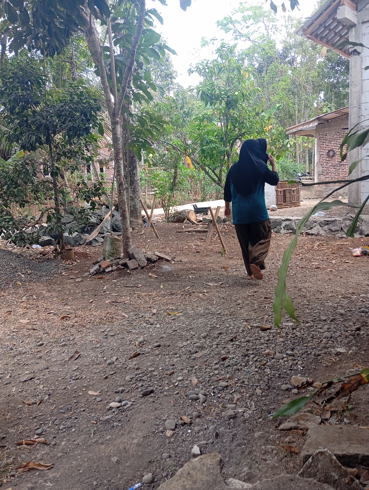In Kedungbenda, Indonesia, an outdoor scene depicts a person wearing a black hijab and a teal top with brown pants, walking away from the camera on a gravelly ground. The environment is lush with vegetation, featuring trees with dense foliage and some smaller plants. In the background, a brick building with a tiled roof is visible, along with a wooden structure resembling a cage. Several scattered rocks and debris are present on the ground, indicating an unkempt or rural setting. The lighting suggests it is daytime, with soft light filtering through the trees.