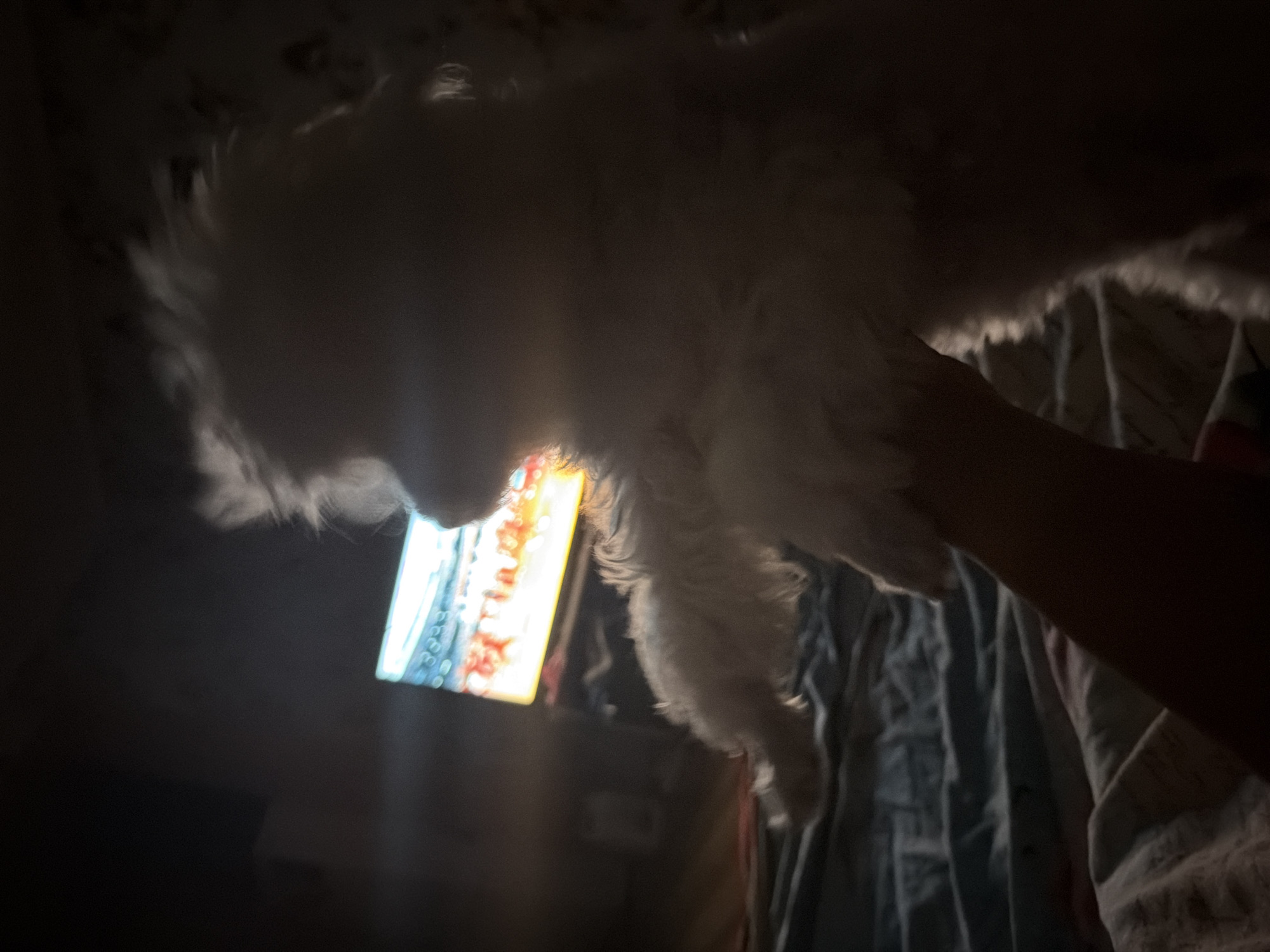 The original image is a dark, blurry photograph taken in what appears to be a bedroom at night. A small, fluffy white dog is being held up by a person, whose arm is visible in the foreground. The dog is out of focus and appears to be looking towards a television screen in the background, which is displaying a brightly lit scene, possibly a sporting event or show. The room is dimly lit, with the primary light source appearing to be the television. The background also shows bedding and hints of furniture, suggesting a domestic setting. There is no discernible information about the location in the city of Partenit, Ukraine, as the image lacks any identifying landmarks or contextual clues.