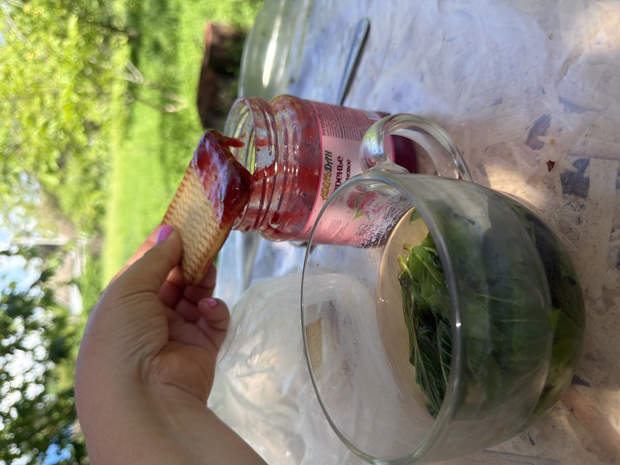 A person is holding a cracker covered in red jam, which is being dipped into an open jar of the same jam. Adjacent to the jam is an empty clear glass mug filled with what appears to be fresh green herbs. The scene is outdoors, possibly on a picnic table covered with a white tablecloth, with a blurry green backdrop of trees and foliage. The text on the jam jar is in Russian, suggesting a location in Leningradskaya, Russia.