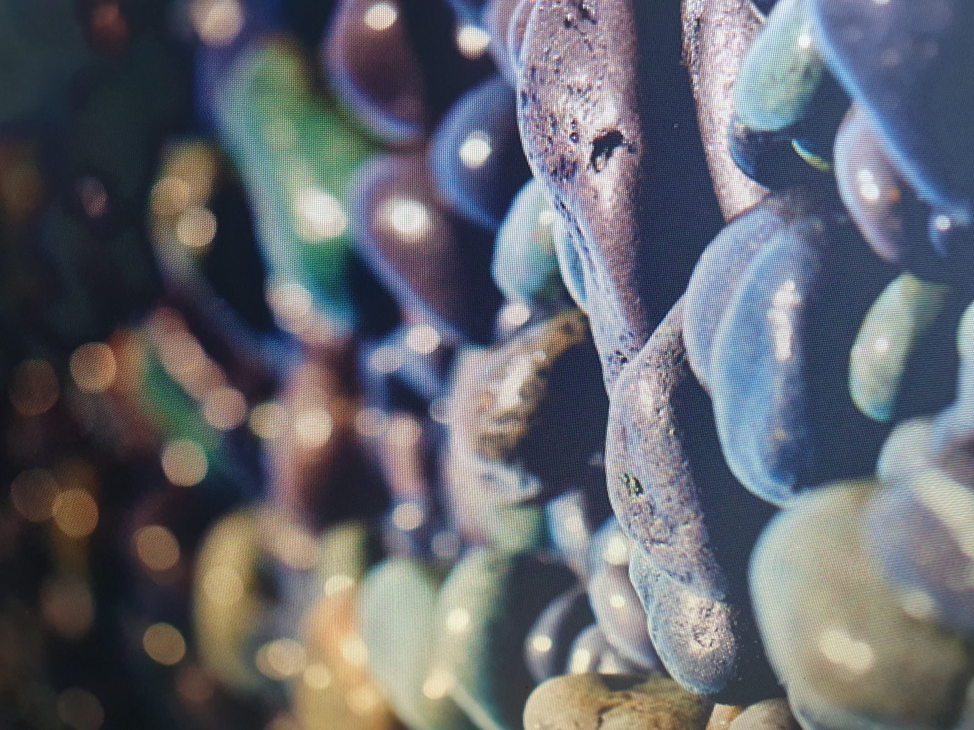 The image depicts a close-up, shallow depth-of-field view of smooth, rounded pebbles. The pebbles exhibit a variety of colors, including shades of grey, blue, green, brown, and dark purple, with some appearing wet and reflective. The lighting creates bright highlights on the surfaces of the stones, suggesting an outdoor setting or artificial lighting. The background is heavily blurred, showing out-of-focus circular bokeh lights in warm tones, possibly from streetlights or other distant sources. There are no people, animals, or visible human activity in the frame. The image does not contain any specific identifiable landmarks or features that would allow for pinpointing a location within the city of Tashkent, Uzbekistan, or any other specific city. The scene is solely focused on the texture and colors of the pebbles.
