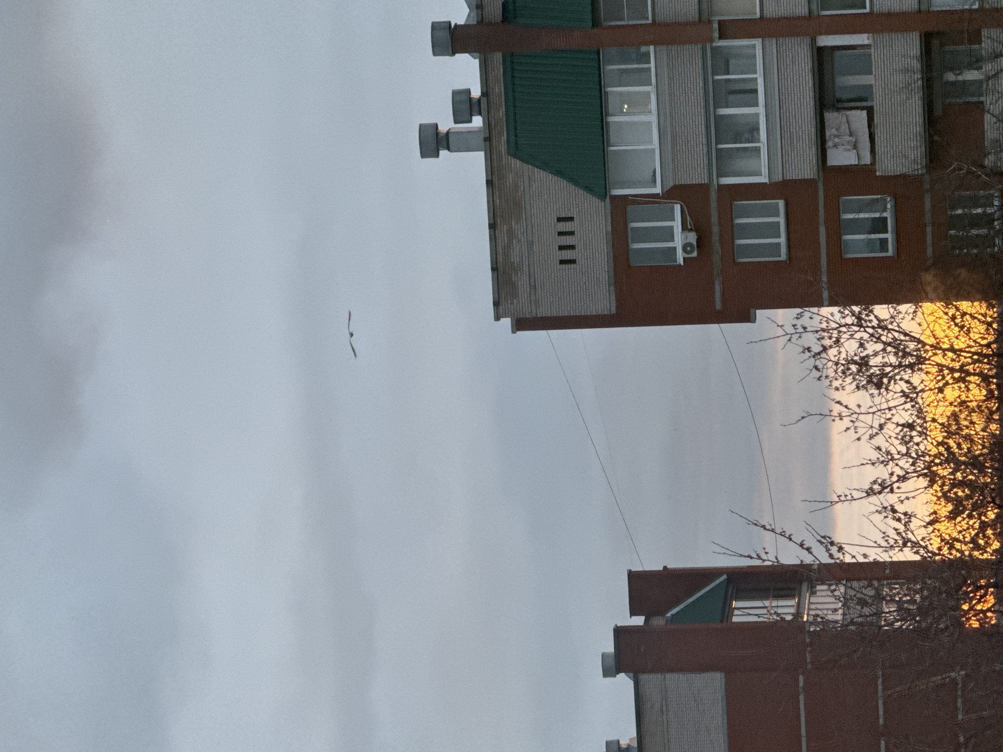This image captures an urban scene, appearing rotated 90 degrees counter-clockwise. When viewed with the buildings upright, it depicts two multi-story structures flanking a wide expanse of sky, likely in Chaikovsky, Russia.
The larger building on the right side of the frame features a facade combining reddish-brown brick with lighter grey or beige panels. Its roof is green, and various windows with white frames are visible, some equipped with external air conditioning units. Several large, cylindrical vents are prominent on the roofline. A lone bird is in flight against the overcast sky to the left of this building, appearing as a small, dark silhouette.
Another multi-story building occupies the bottom right corner of the image, also constructed with reddish-brown and grey sections. The top of this structure and the sky immediately behind it are illuminated by a striking warm, orange light, indicative of either sunrise or sunset. Bare tree branches, silhouetted against this bright glow, extend into the frame.
The central and left portions of the image are dominated by a predominantly grey, overcast sky. Faint, thin power lines or communication wires can be seen stretching horizontally across this sky. The overall atmosphere suggests a quiet moment in an urban setting at the beginning or end of the day. No human figures or discernible text are visible.