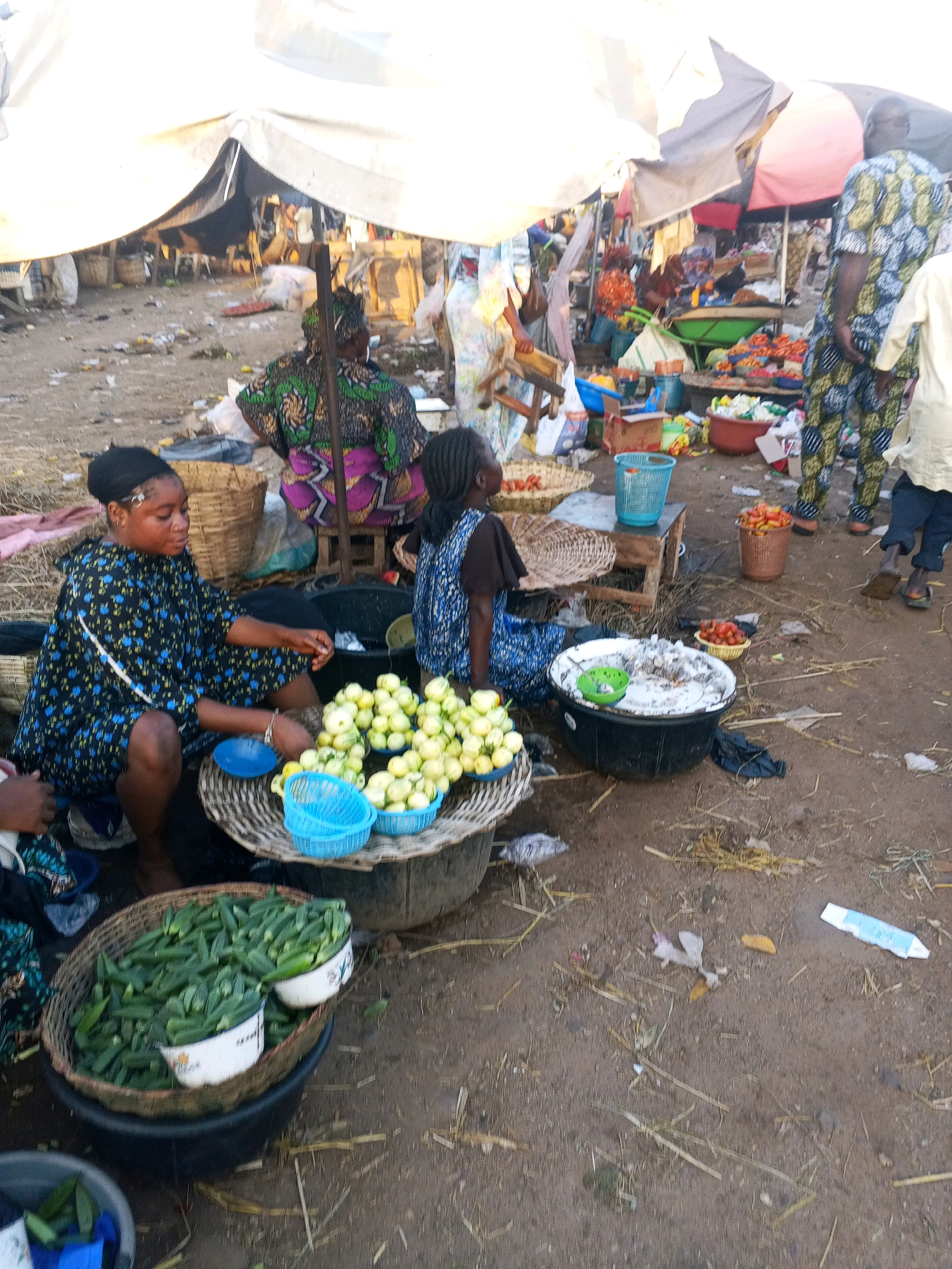 This image depicts a bustling market scene in Lokoja, Nigeria, likely at the popular Mammy Market. The foreground is dominated by a woman in a black and blue patterned dress sitting on the ground, her attention focused on a basket of light green fruits, possibly tomatoes, arranged on a woven mat. Next to her, a blue plastic basket holds more of the same produce. To her left, a large woven basket overflows with fresh green okra. In the background, other market-goers are visible, some tending to their stalls laden with various goods, including a large display of red tomatoes in a woven basket. The market appears to be set up under makeshift awnings, with the ground covered in dirt and scattered straw and debris. The overall atmosphere suggests a lively, everyday commerce within the city.