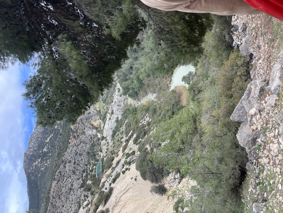 The image captures a dramatic, high-angle view of a deep gorge and mountainous landscape, consistent with the region of El Chorro, Spain. The scene is rich in natural elements, featuring steep, grey rocky cliffs and slopes heavily covered with diverse green vegetation, including prominent pine trees.
In the upper right corner, a partial view of a person's leg and hip, clad in beige trousers with a red strap visible, suggests the perspective of someone standing at the edge of a high overlook, gazing down into the canyon. The immediate foreground shows a rough, rocky and earthy terrain, typical of a natural trail or viewpoint.
The central focus of the image is the winding river or stream at the bottom of the gorge, distinguished by its strikingly pale, milky-turquoise water. Along the left canyon wall, nestled among the rocks and trees, a distinctive light blue structure resembling an elongated boat is visible, appearing either abandoned or placed as a unique landmark.
Further into the distance on the left, more rugged, forested mountains rise against a clear blue sky, dotted with a few scattered white clouds. The lighting suggests it is daytime, likely morning or afternoon, with ample natural light illuminating the landscape. The overall atmosphere conveys a sense of awe at the vast and rugged natural beauty of the area. There is no discernible text in the image.