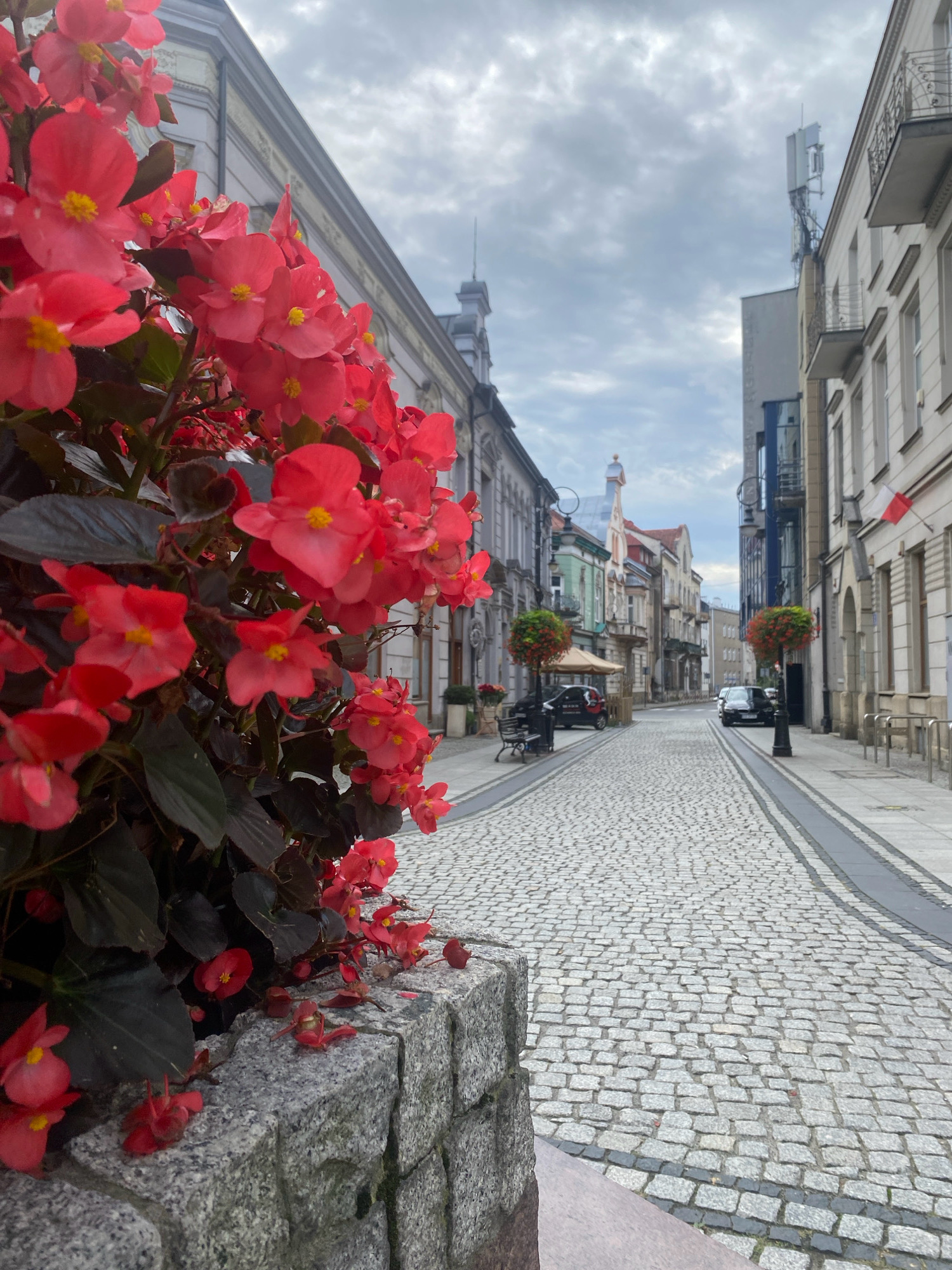 This image captures a street scene in Nowy Sącz, Poland, with a prominent display of vibrant red flowers in the foreground. The flowers, likely begonias, cascade over a low stone wall, their deep green foliage contrasting with their bright blooms. The street itself is paved with cobblestones, forming a textured, winding path into the distance.
On either side of the street, buildings line the way. To the left, older architecture with ornate detailing is visible, while to the right, more modern structures with balconies and large windows stand. A Polish flag is visible on one of the buildings on the right.
Several vehicles are present on the street, including a black car parked on the right and another black car further down on the left. A street lamp with a hanging light fixture is positioned on the right side of the cobblestone street. In the distance, the street curves, and various buildings with diverse architectural styles create a layered urban landscape under a cloudy sky. A cellular tower is visible above some of the buildings on the right.