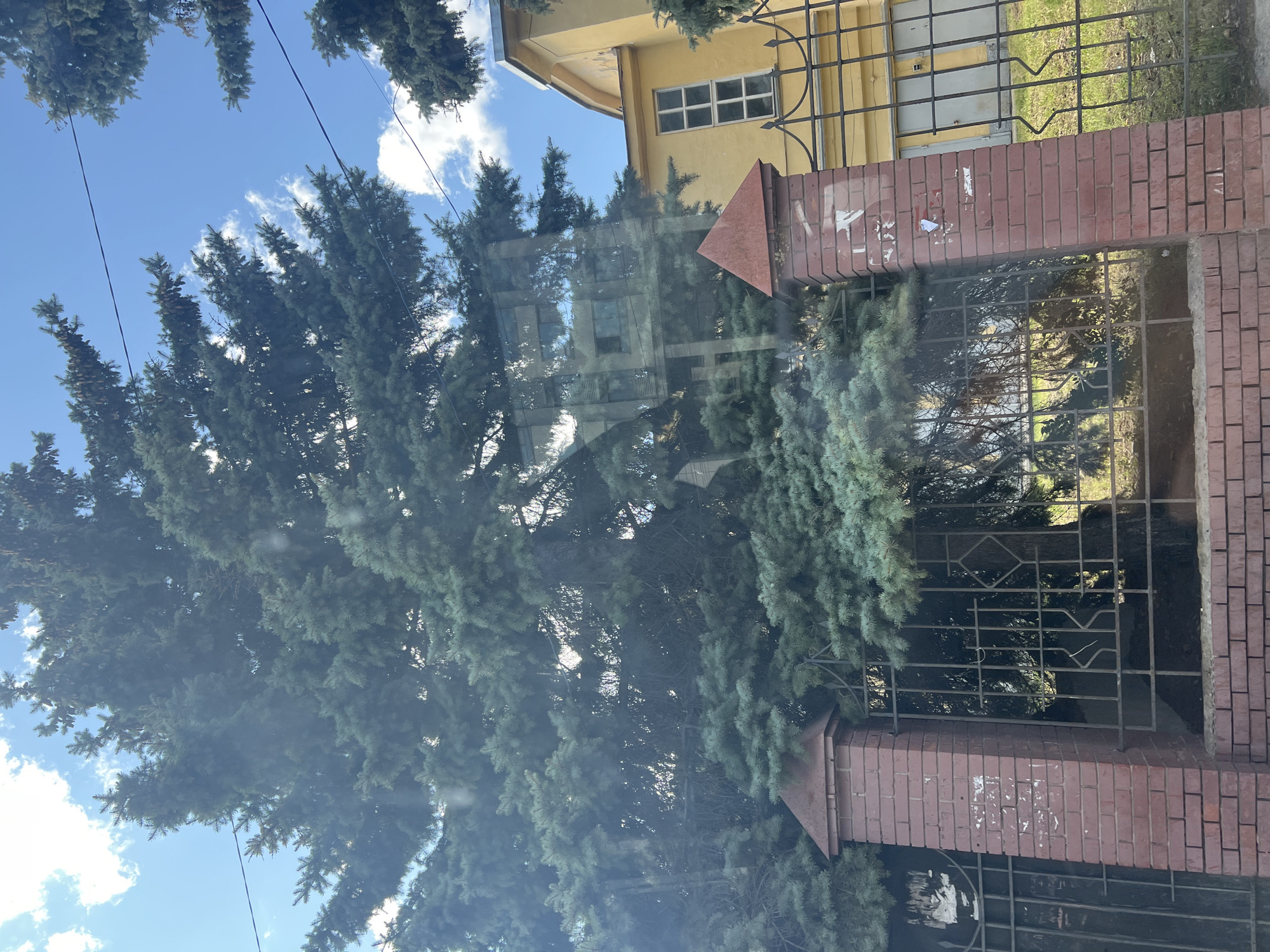 The image shows a brick fence with a wrought iron gate in front of a large evergreen tree and a yellow building. The fence has two brick pillars topped with pyramid-shaped red caps. The wrought iron gate has a diamond pattern in the center. Through the gate and the branches of the tree, a building with several windows can be seen. The building is painted yellow and has a curved roofline. The sky is blue with some white clouds. The scene appears to be outdoors, possibly in a park or residential area. The image was taken in Ulyanovsk, Russia.
