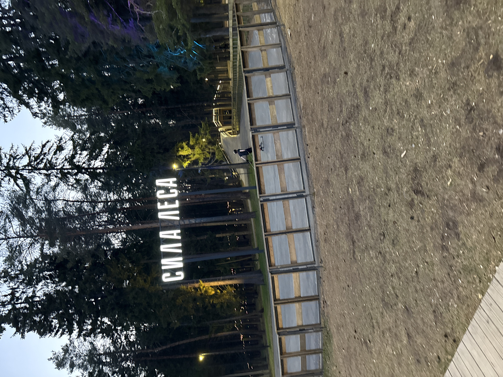 The image shows a park area, possibly in Votkinsk, Russia, as suggested by the Cyrillic text "СИЛА ЛЕСА" (Power of the Forest) on a vertical sign. The sign is illuminated. To the left, tall trees are visible, some with lights in the branches. To the right, there is a walkway structure with a grid-like pattern. Further down the path, a person wearing dark clothing and a helmet is visible, possibly riding a scooter. The ground appears to be a mix of grass and dirt. The lighting indicates it is either dusk or night.