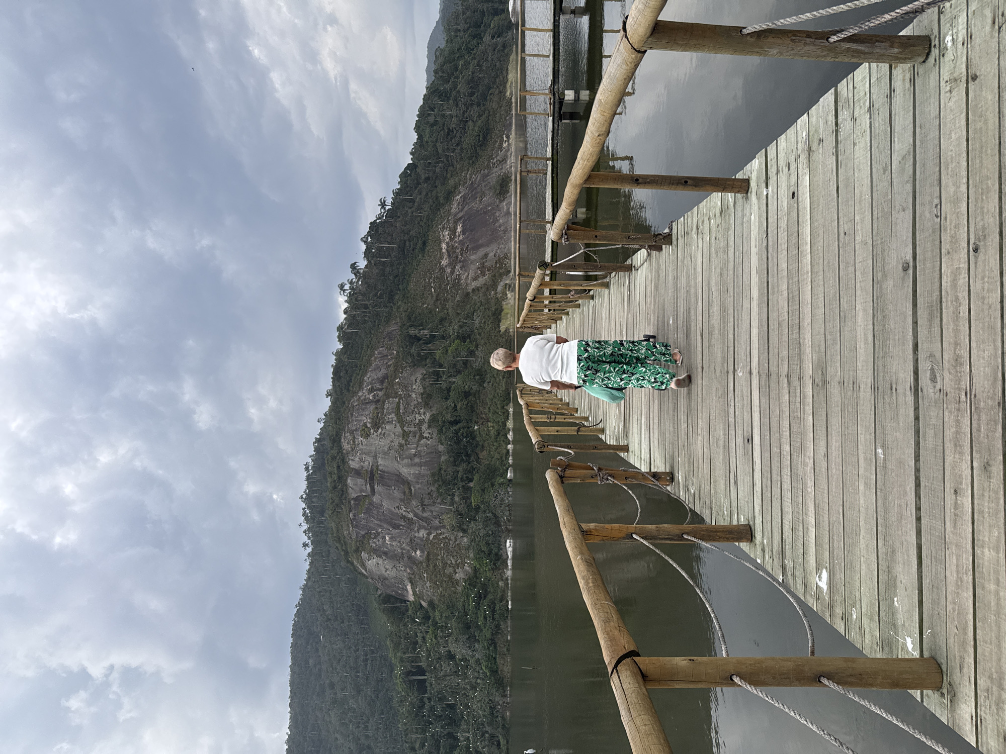 An elderly woman with short blond hair is walking away from the camera down a wooden pier. She is wearing a white t-shirt and green patterned pants. She is carrying a light blue bag over her left shoulder. The pier extends over a dark body of water, likely a lake or lagoon, with reflections of the sky and surrounding landscape visible. In the background, a lush green, forested mountain rises steeply from the water. The sky is overcast with dramatic, dark clouds. In the distance, another wooden structure or pier is visible on the water. The scene suggests a natural park or recreational area. This location is likely within the Parque da Cidade in Niterói, Brazil, known for its scenic views of mountains, water, and forests.